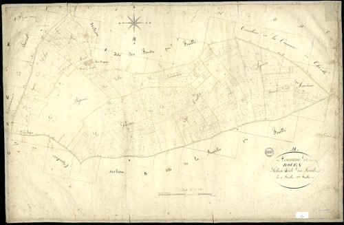 Bouëx - 3 P 55/3 - Section A dite des Forêts. Feuille 2.  | 1824