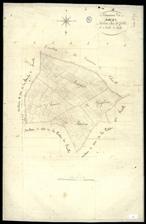 Bouëx - 3 P 55/7 - Section C dite de la Petitie. Feuille 1.  | 1824
