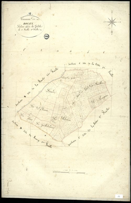 Bouëx - 3 P 55/8 - Section C dite de la Petitie. Feuille 2.  | 1824