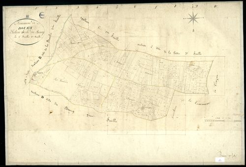 Bouëx - 3 P 55/10 - Section D dite du Bourg. Feuille 1.  | 1824