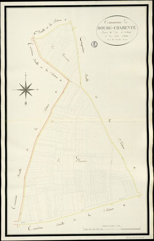 Bourg-Charente - 3 P 56/AC8 - Section B dite de Veillard  | 1813
