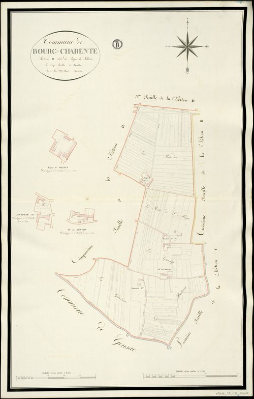 Bourg-Charente - 3 P 56/AC15 - Section D dite du Logis de Filloux  | 1813
