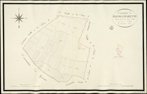 Bourg-Charente - 3 P 56/AC16 - Section D dite du Logis de Filloux  | 1813