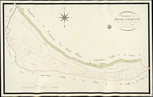 Bourg-Charente - 3 P 56/AC12 - Section D dite du Logis de Filloux  | 1813