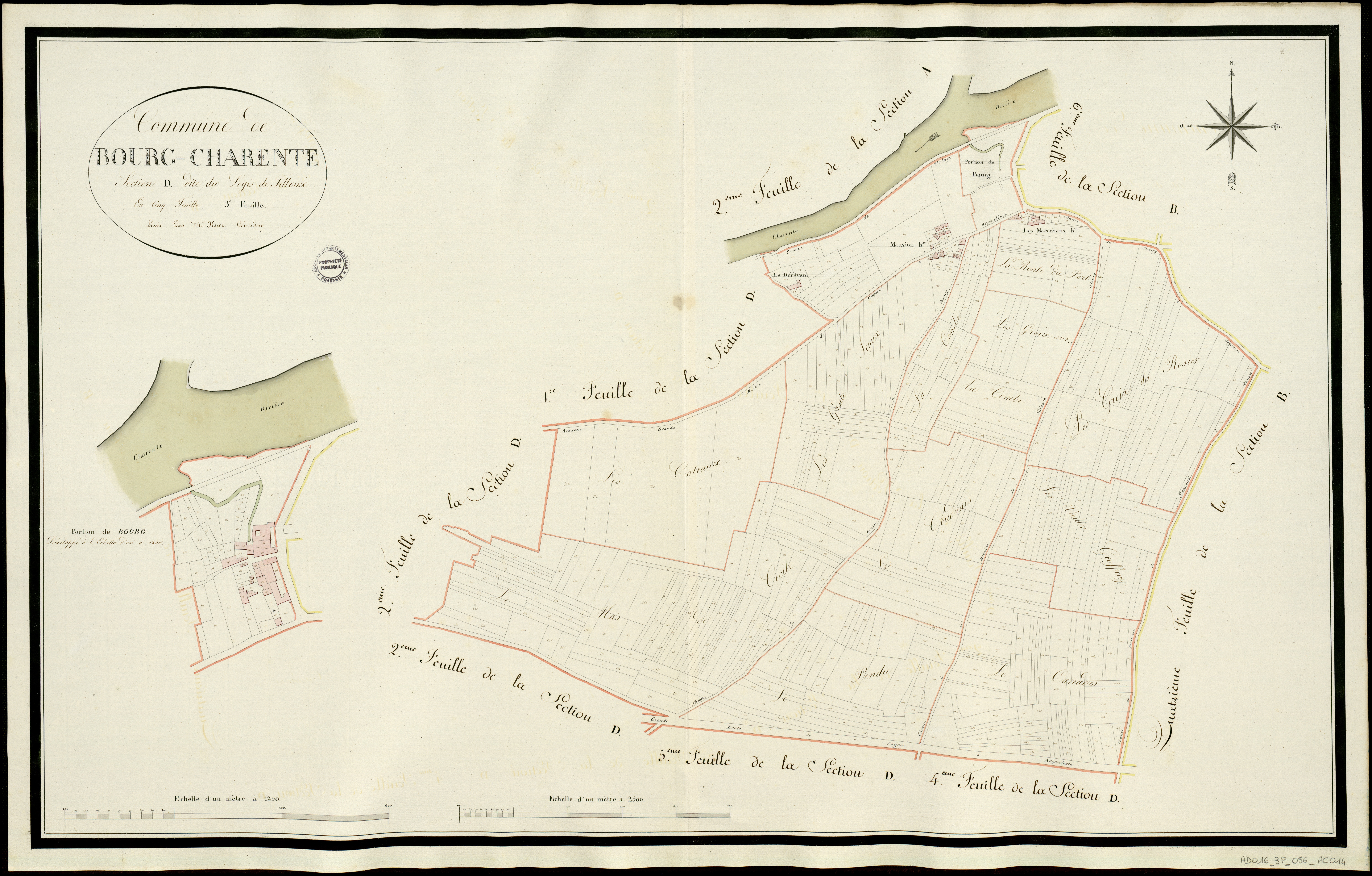 Bourg-Charente - 3 P 56/AC14 - Section D dite du Logis de Filloux  | 1813