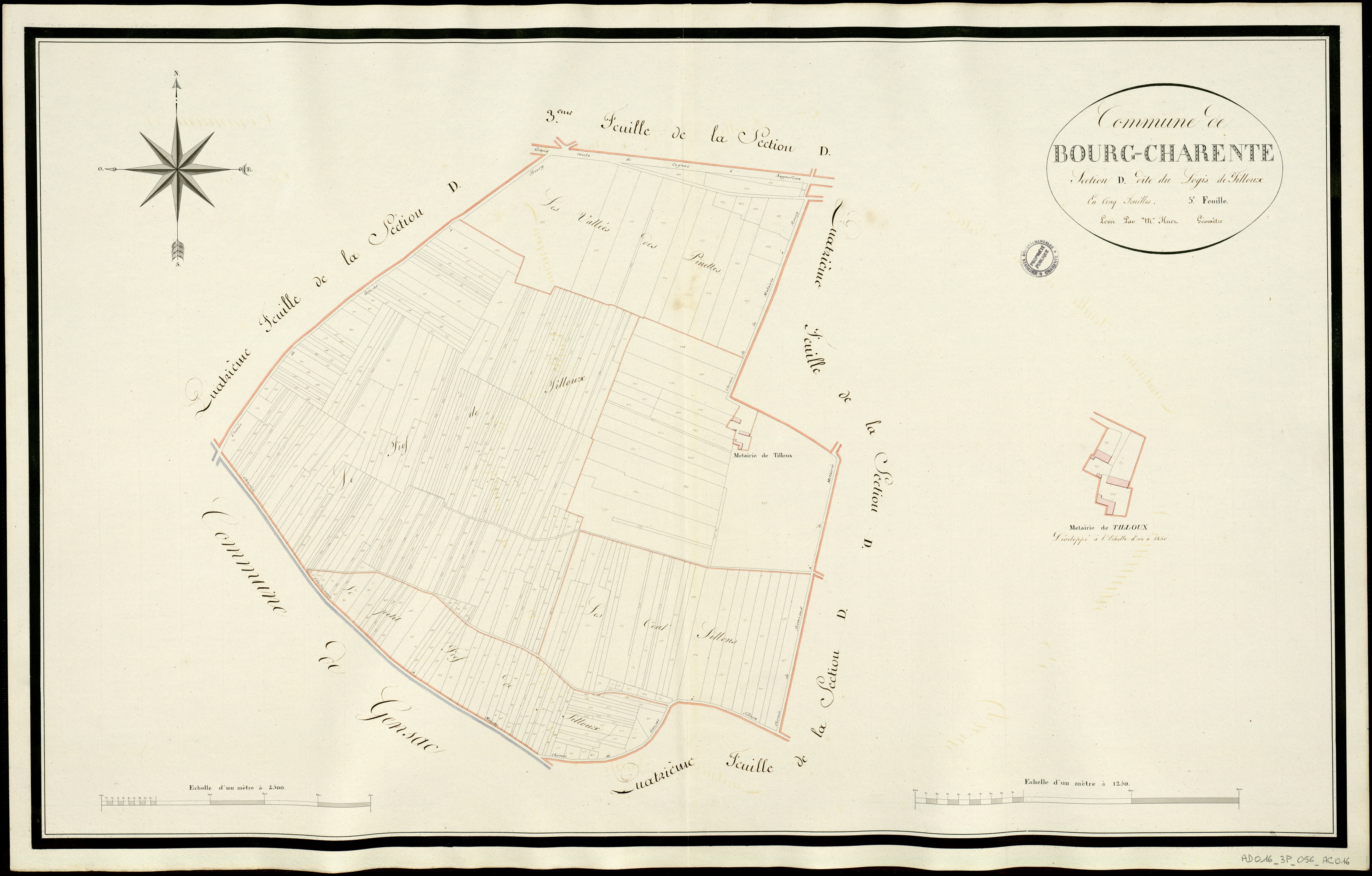 Bourg-Charente - 3 P 56/AC16 - Section D dite du Logis de Filloux  | 1813