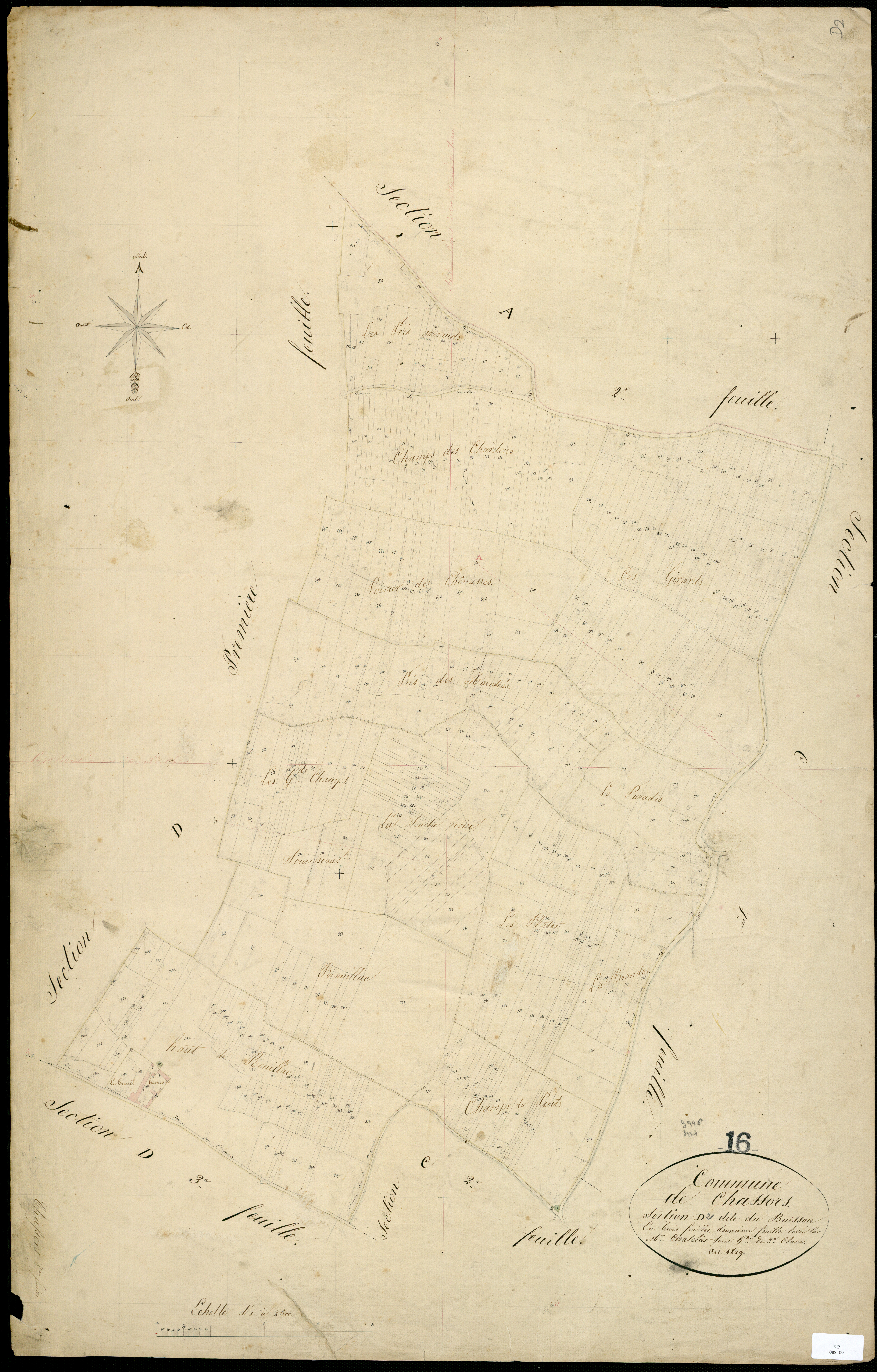 Chassors - 3 P 88/9 - Section D dite du Buisson. Feuille 2.  | 1829