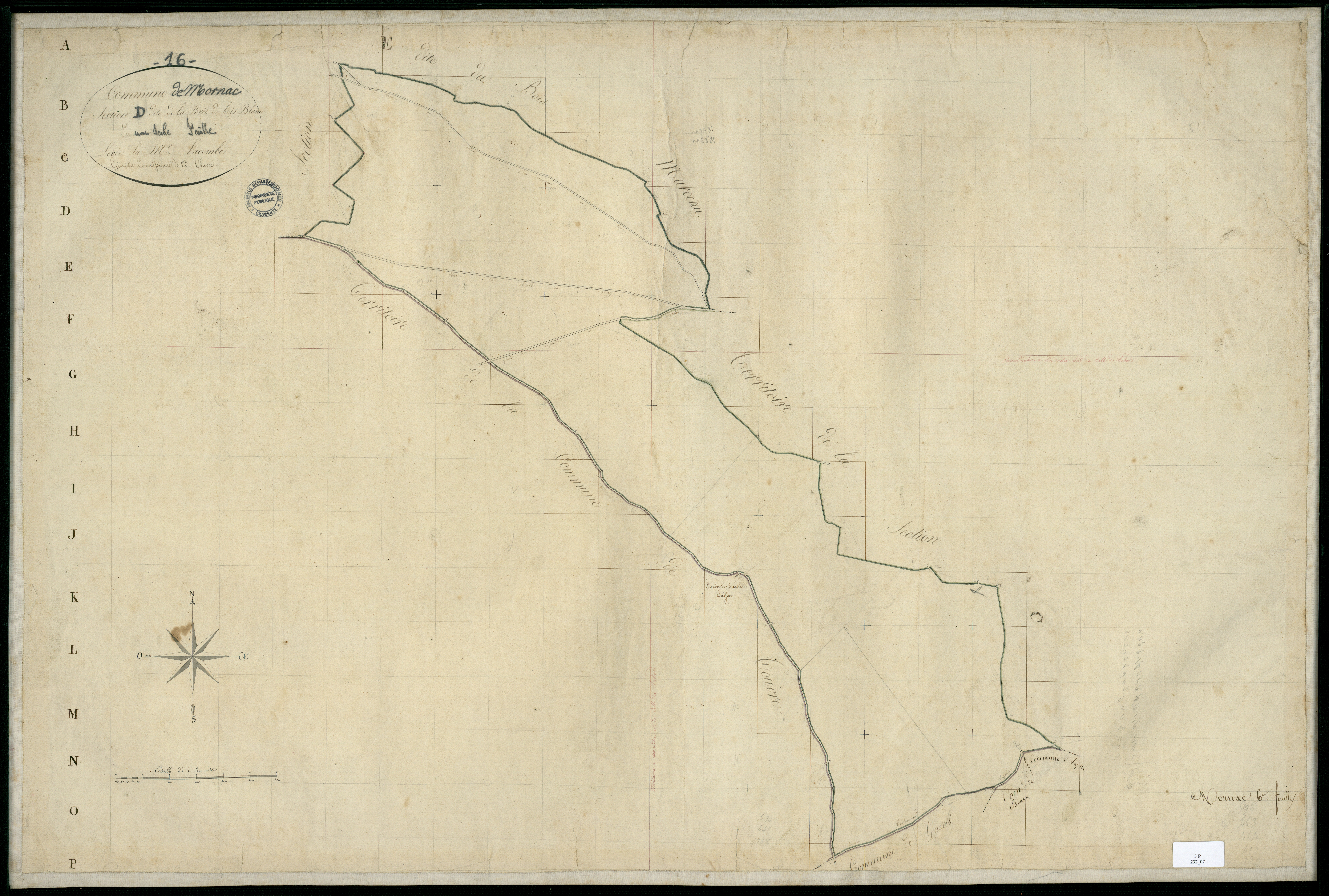 Mornac - 3 P 232/7 - Section D dite de la Forêt de Bois Blanc. Feuille 1.  | 1824