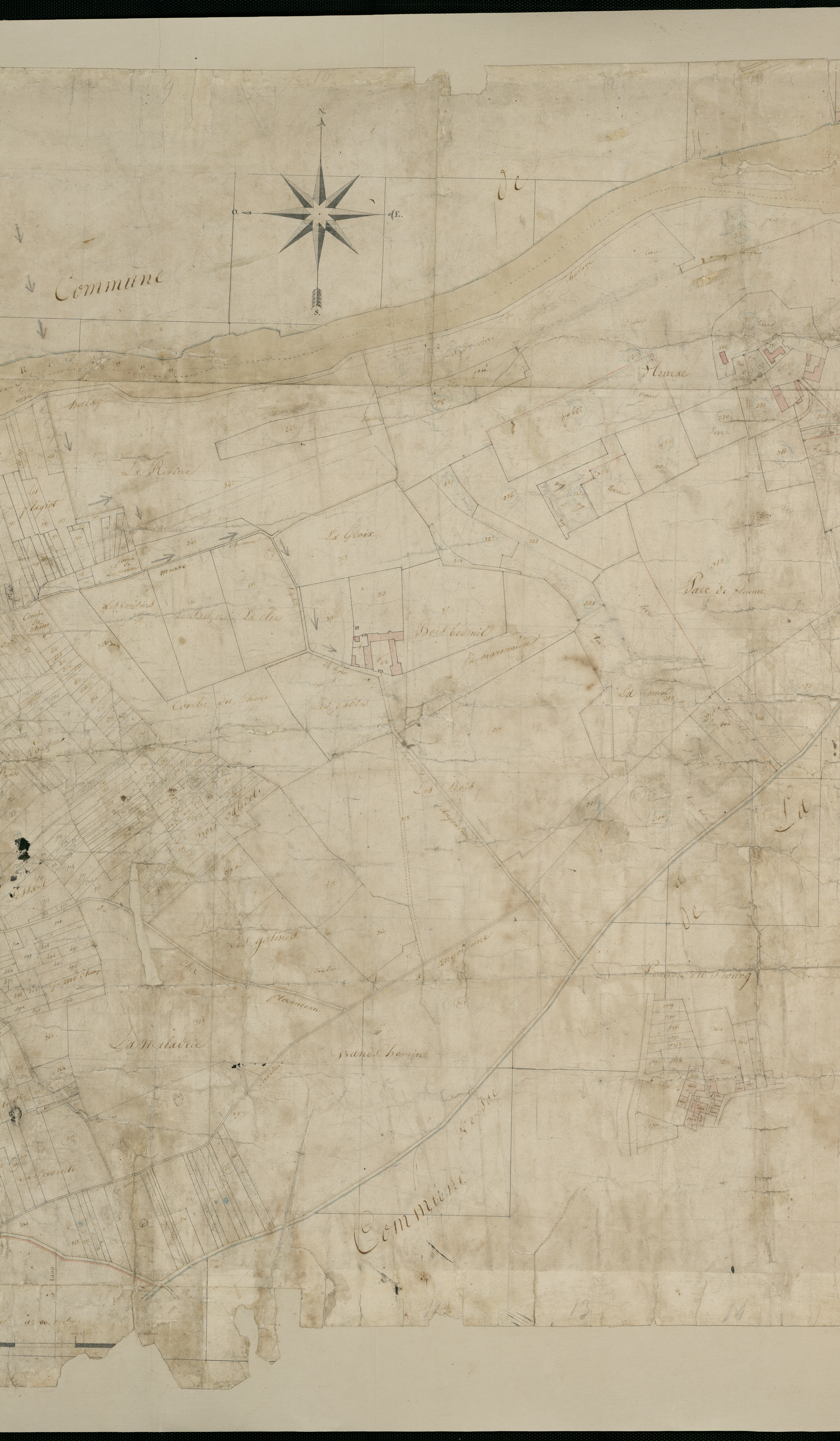 Nersac - 3 P 244/2 - Section A dite de Bois Bedeuil.  | 1817