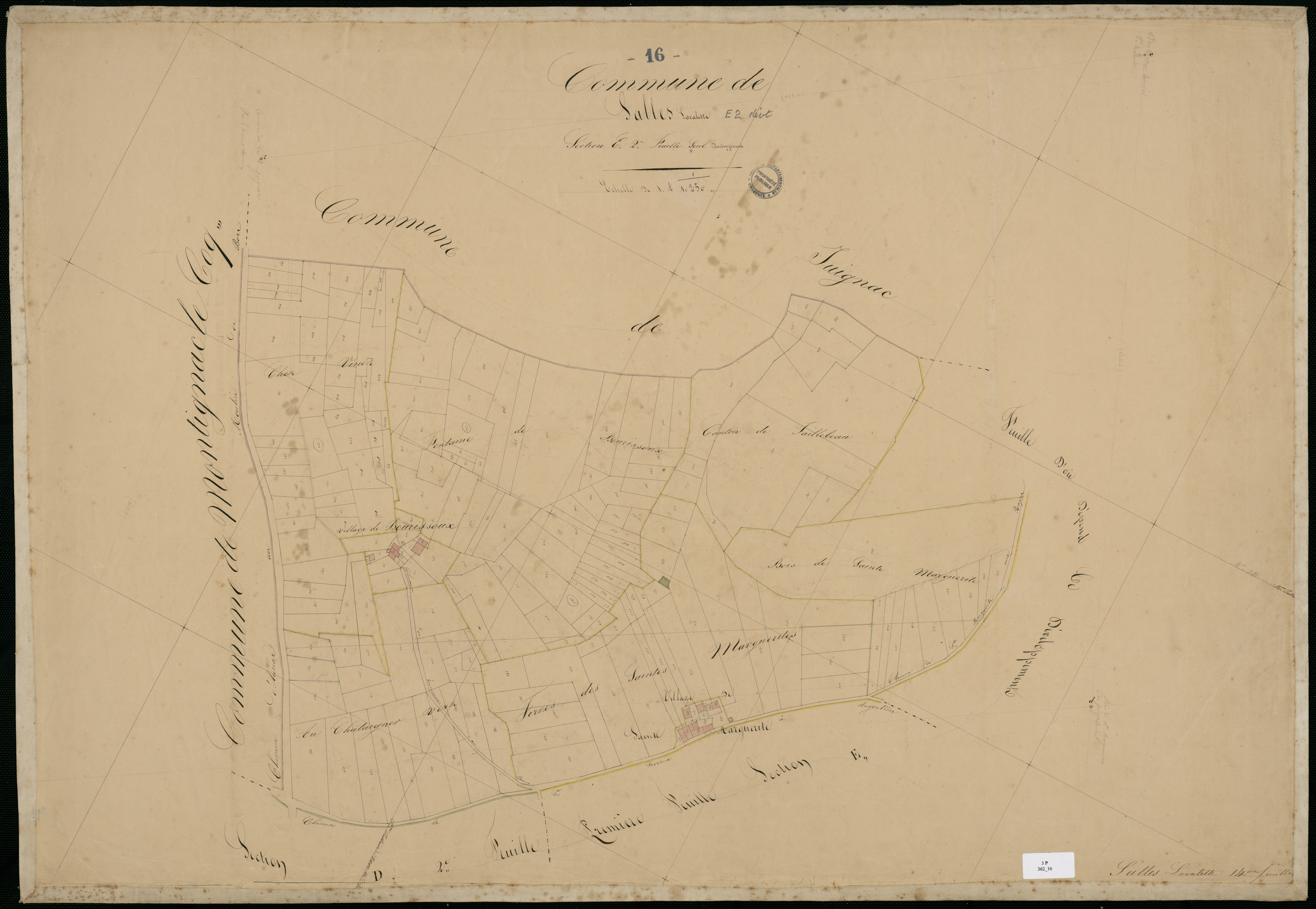 Salles-Lavalette - 3 P 362/16 - Section E dite de la Grande Bergère, développement de la 2ème feuille de la section C. Feuille 2.  | 1834