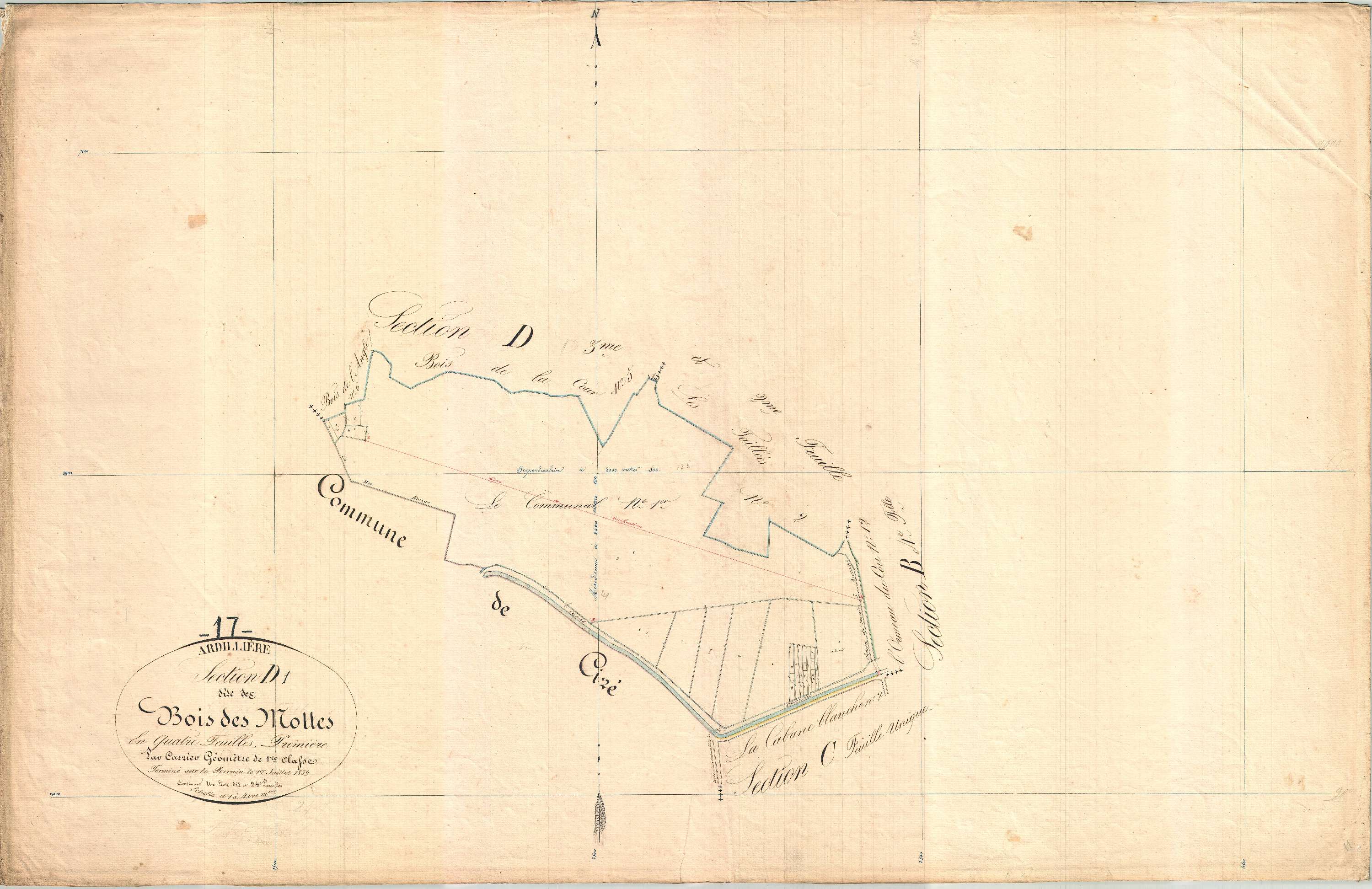 Ardillières - Section D1 dite du Bois des Mottes.