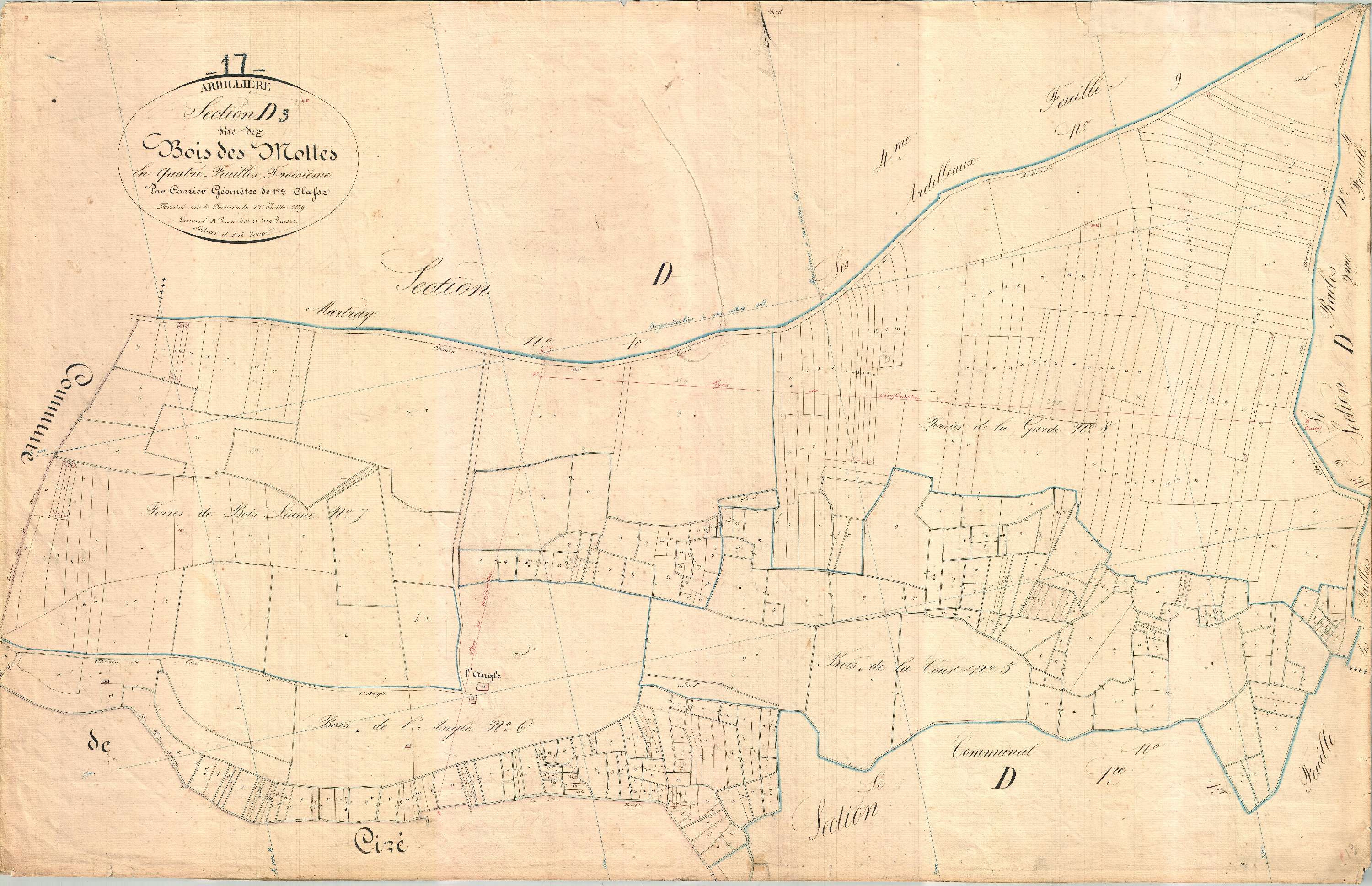 Ardillières - Section D3 dite du Bois des Mottes.