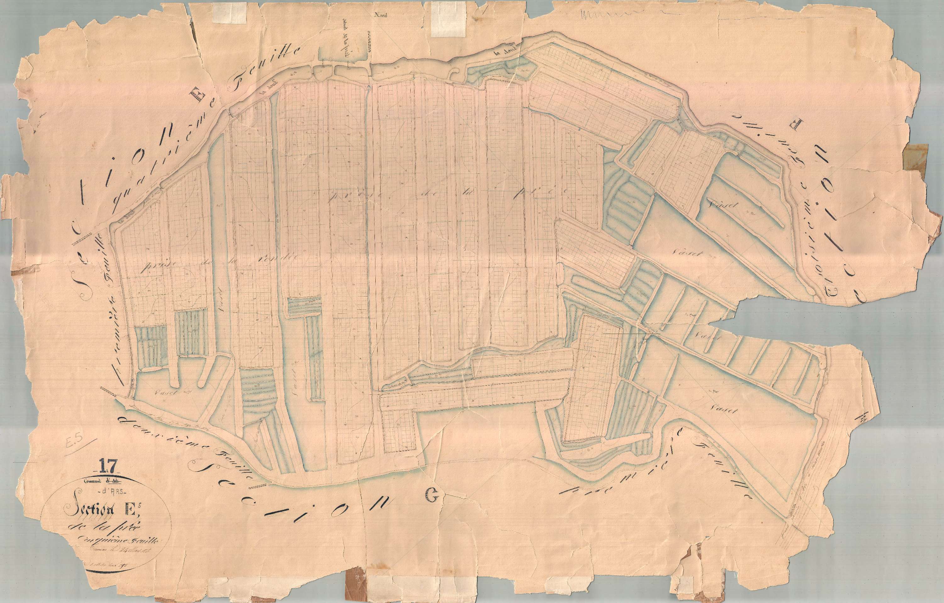 Ars-en-Ré - Section E5 dite de la Prée. [document en très mauvais état]