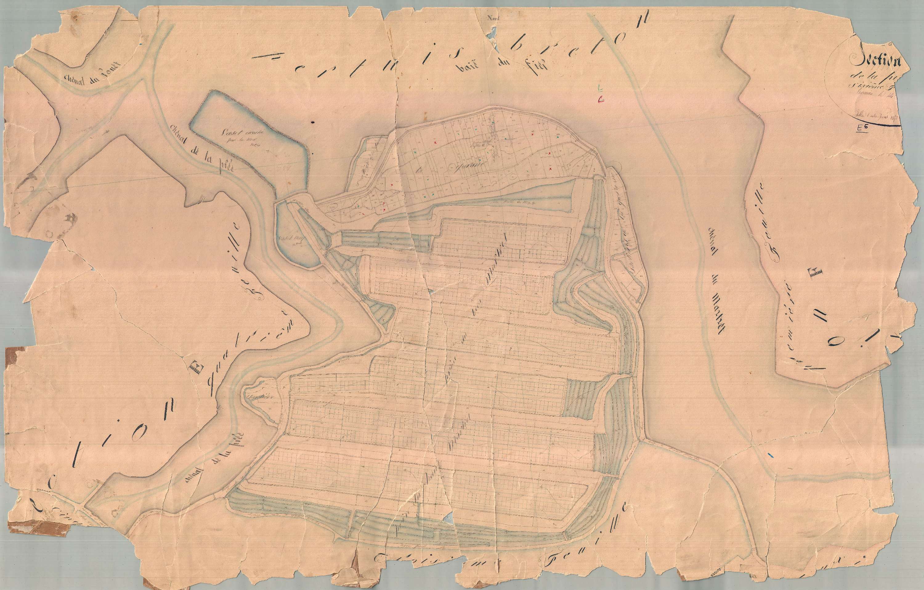 Ars-en-Ré - Section E6 dite de la Prée. [document en très mauvais état]