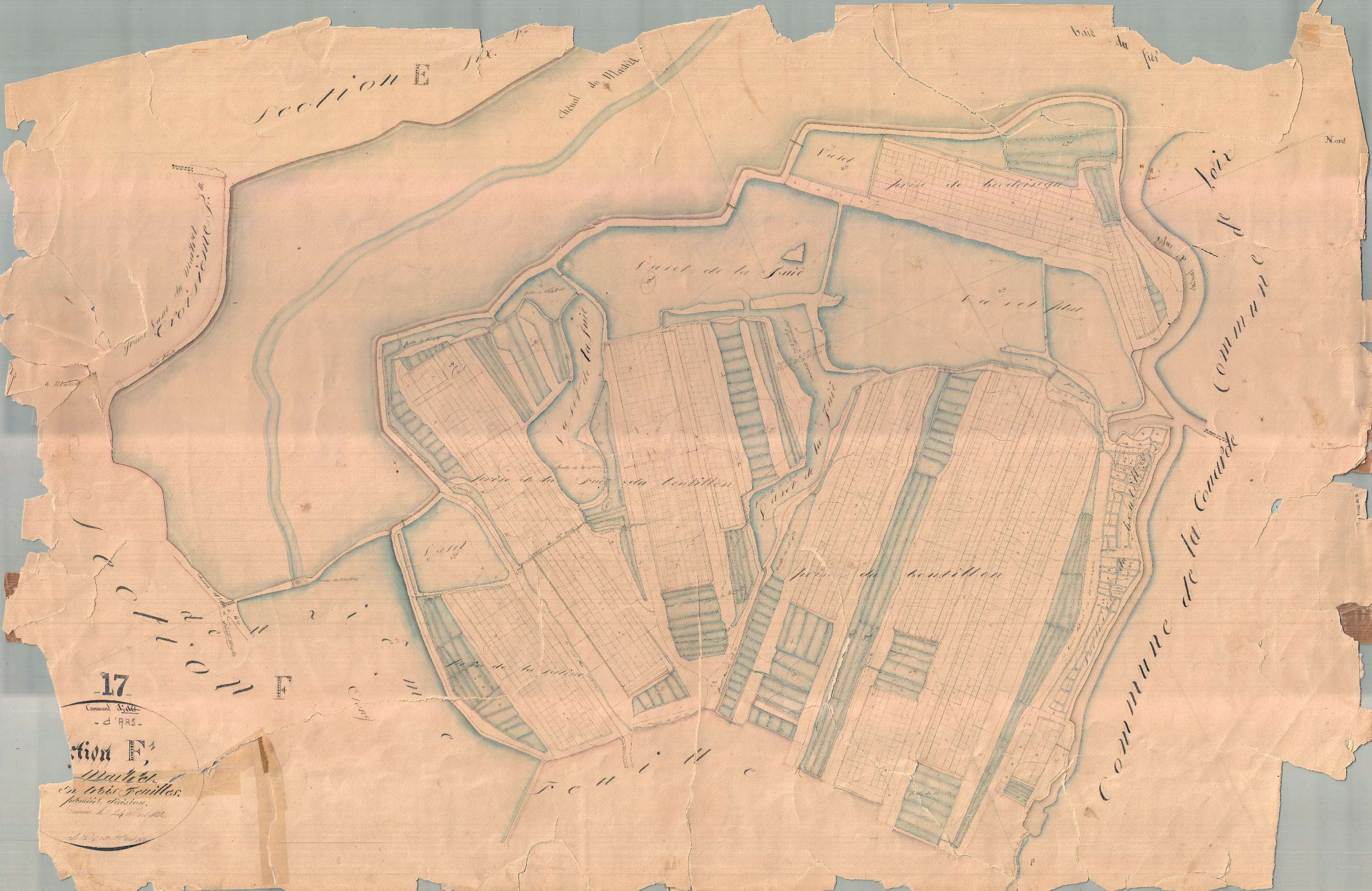 Ars-en-Ré - Section F1 dite du Martret. [document en très mauvais état]