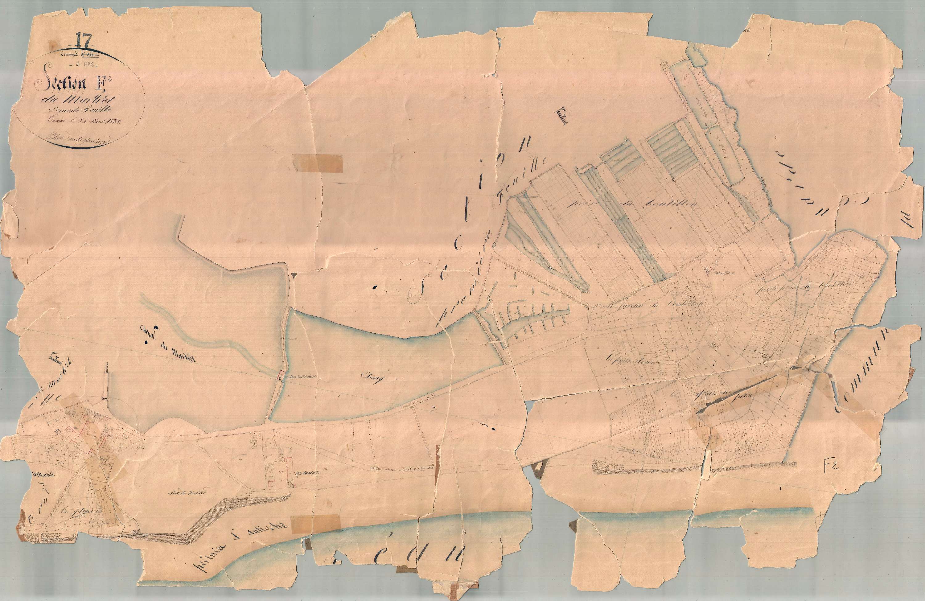 Ars-en-Ré - Section F2 dite du Martret. [document en très mauvais état]