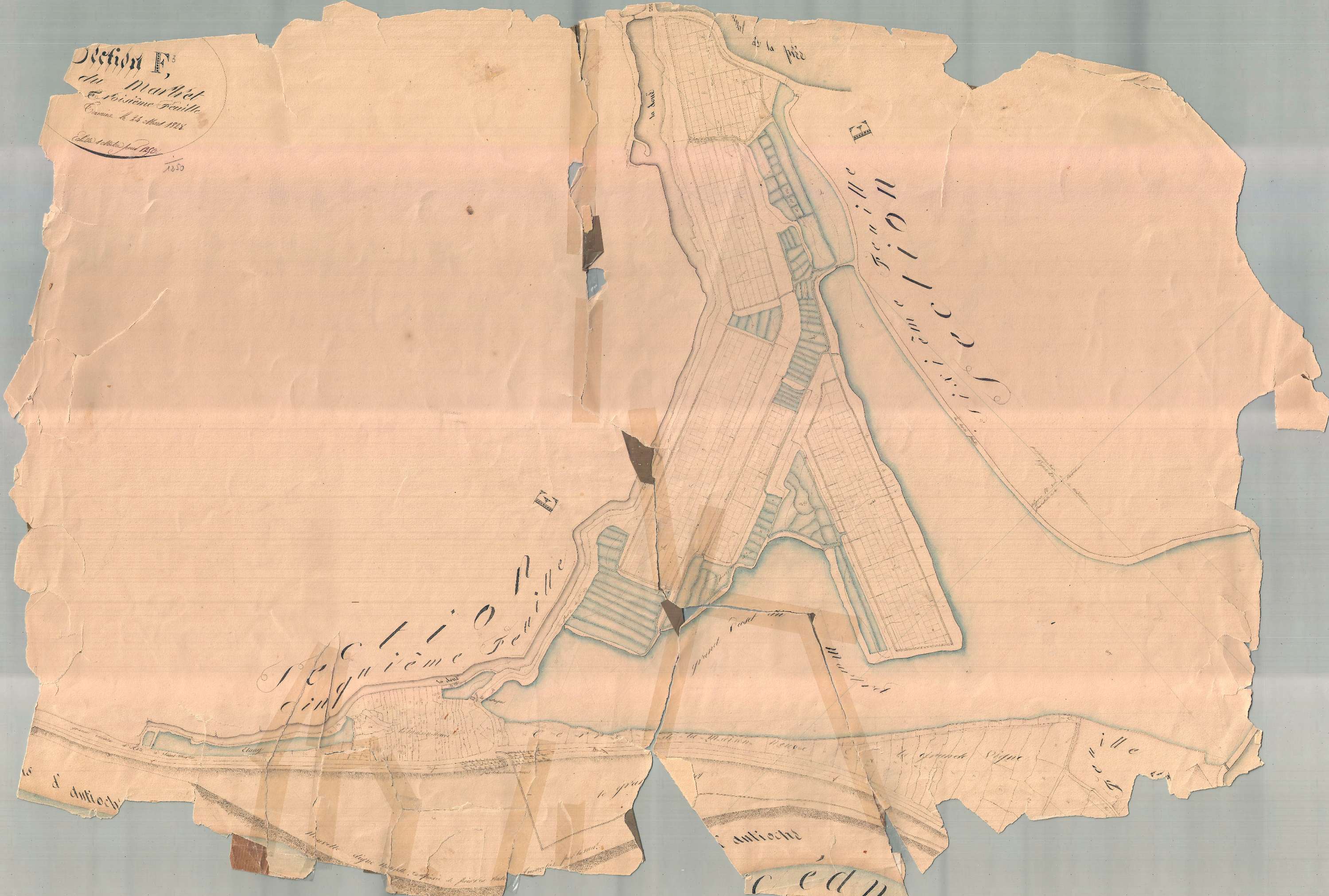 Ars-en-Ré - Section F3 dite du Martret. [document en très mauvais état]