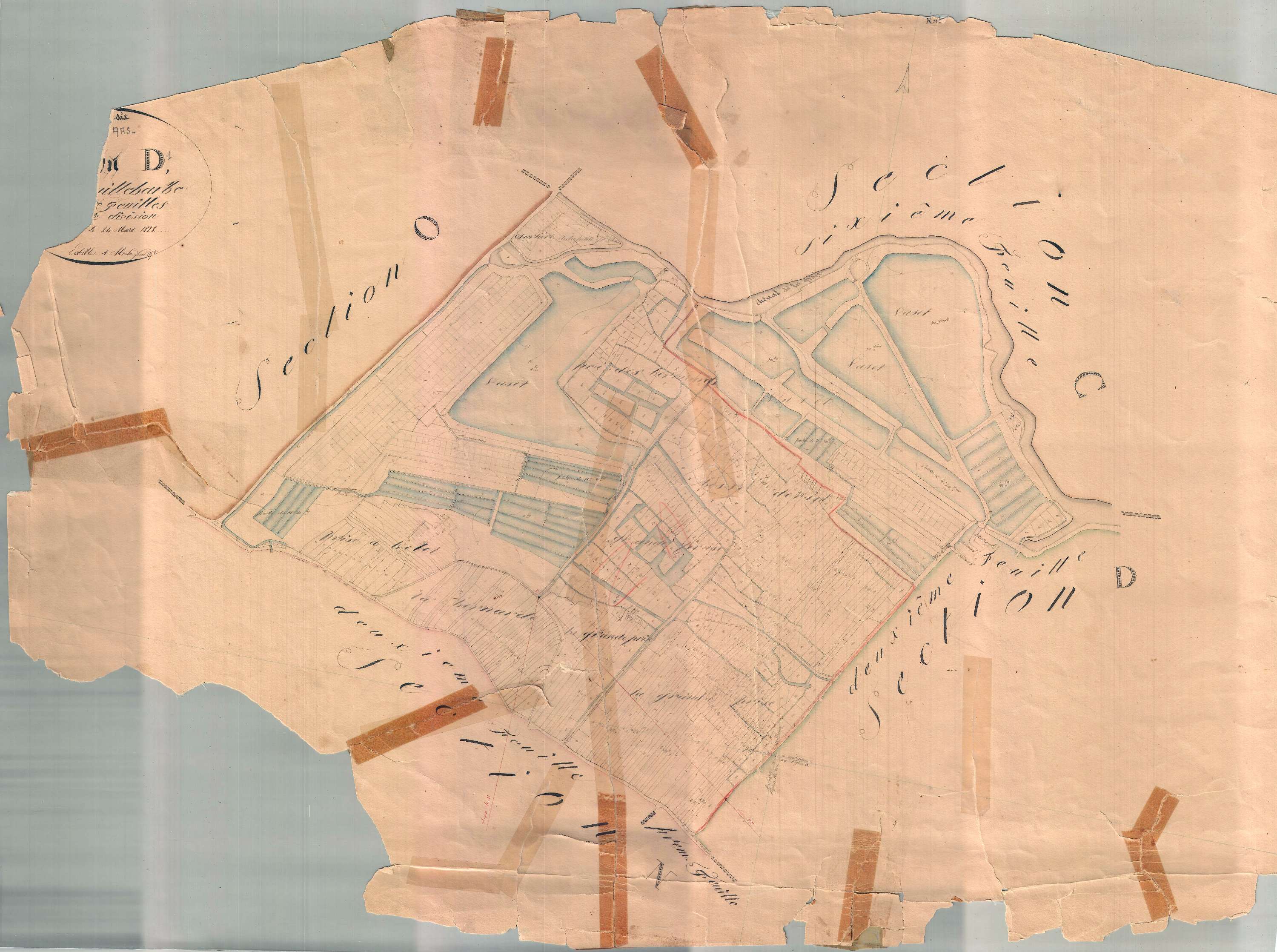 Ars-en-Ré - Section D1 dite de Mouille Barbe. [document en très mauvais état]