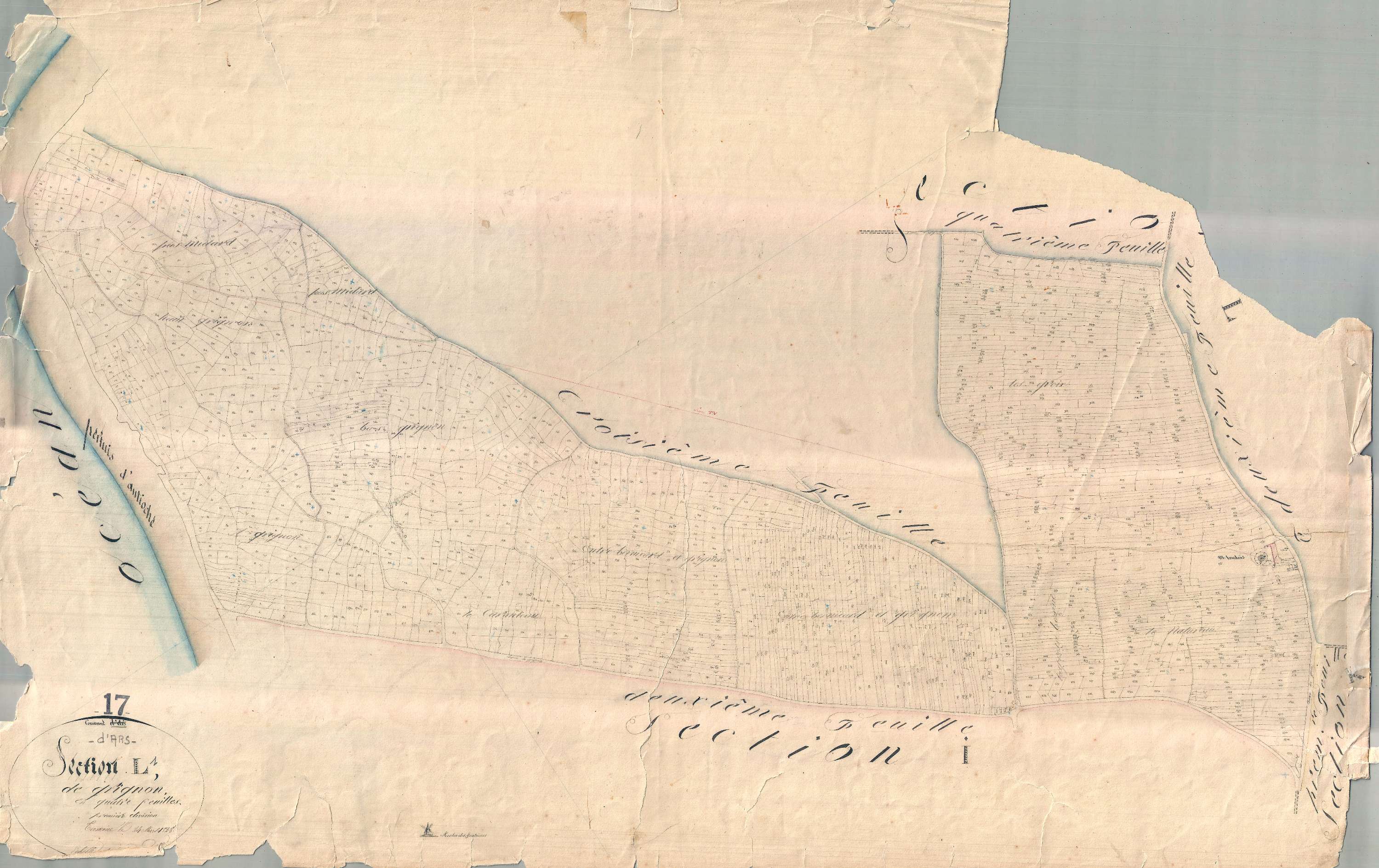 Ars-en-Ré - Section L1 dite du Grignon. [document en très mauvais état]