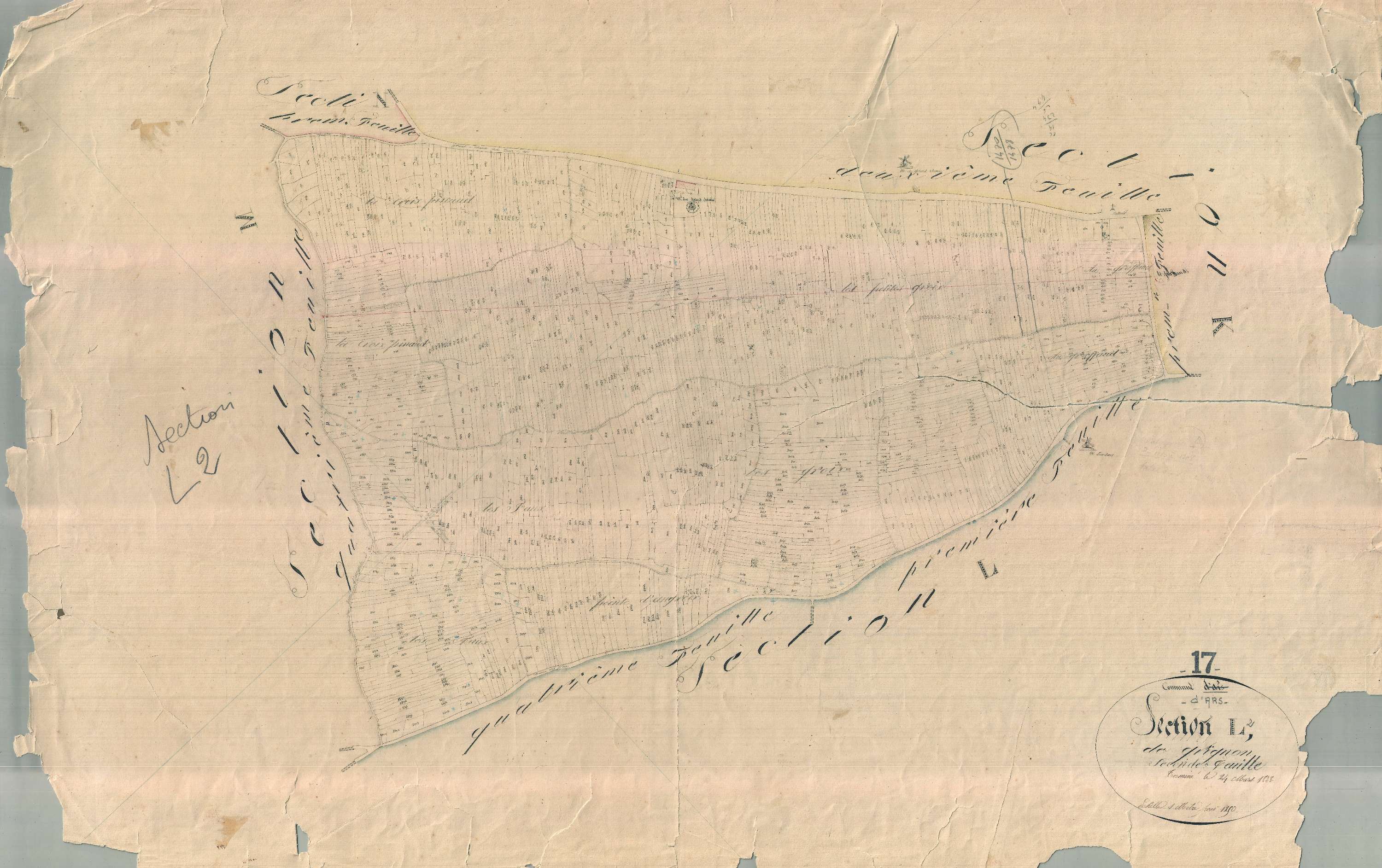 Ars-en-Ré - Section L2 dite du Grignon. [document en très mauvais état]