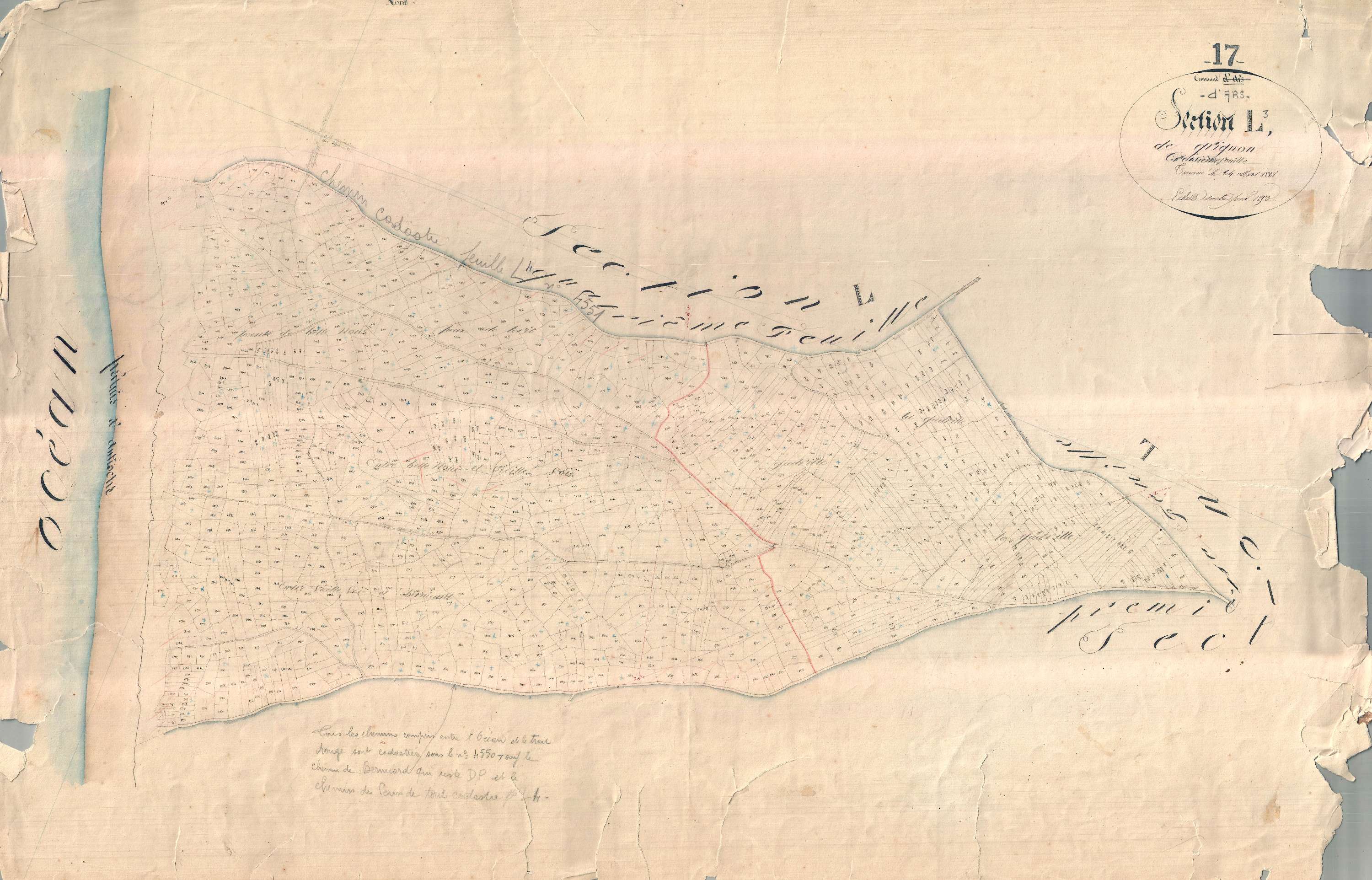 Ars-en-Ré - Section L3 dite du Grignon. [document en très mauvais état]