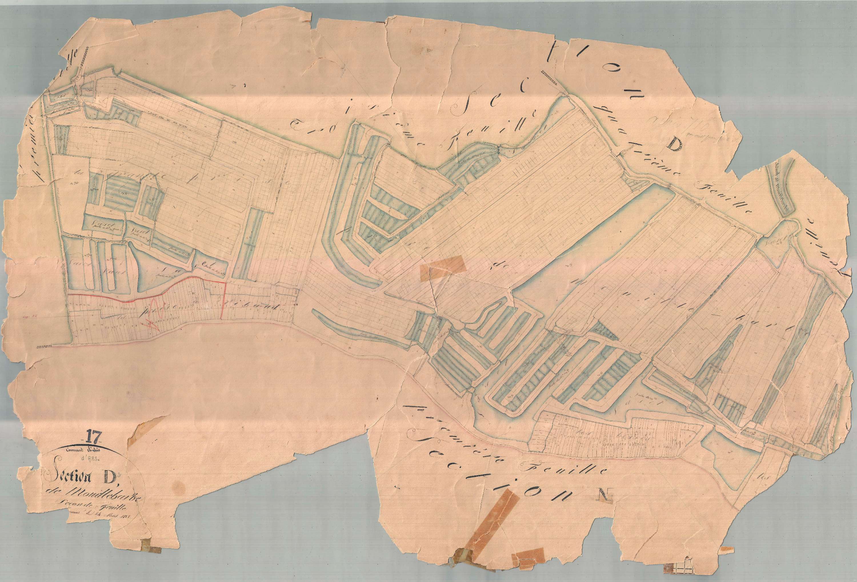 Ars-en-Ré - Section D2 dite de Mouille Barbe. [document en très mauvais état]