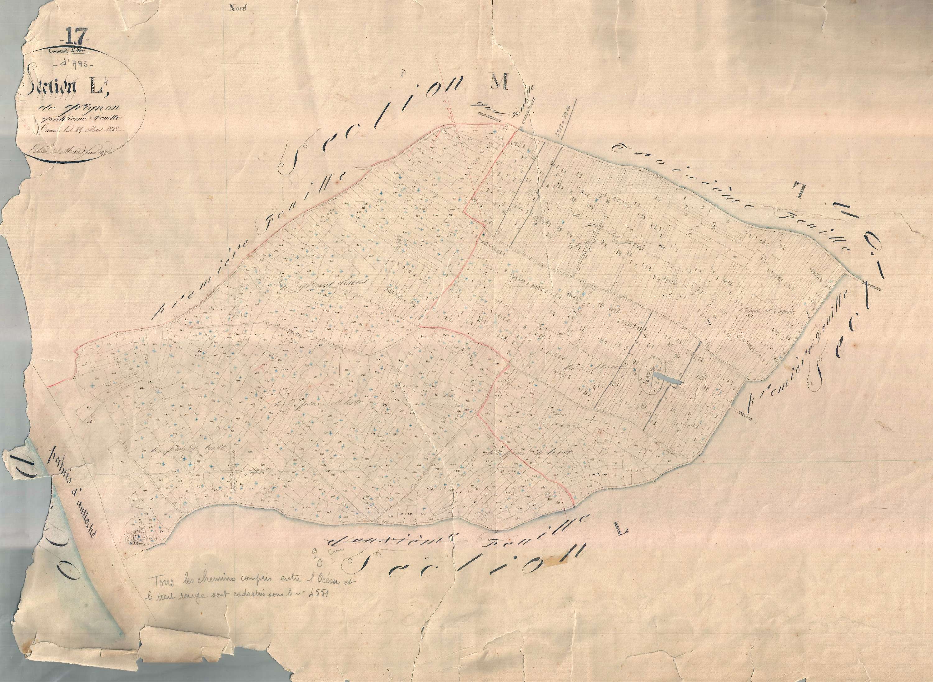 Ars-en-Ré - Section L4 dite du Grignon. [document en très mauvais état]