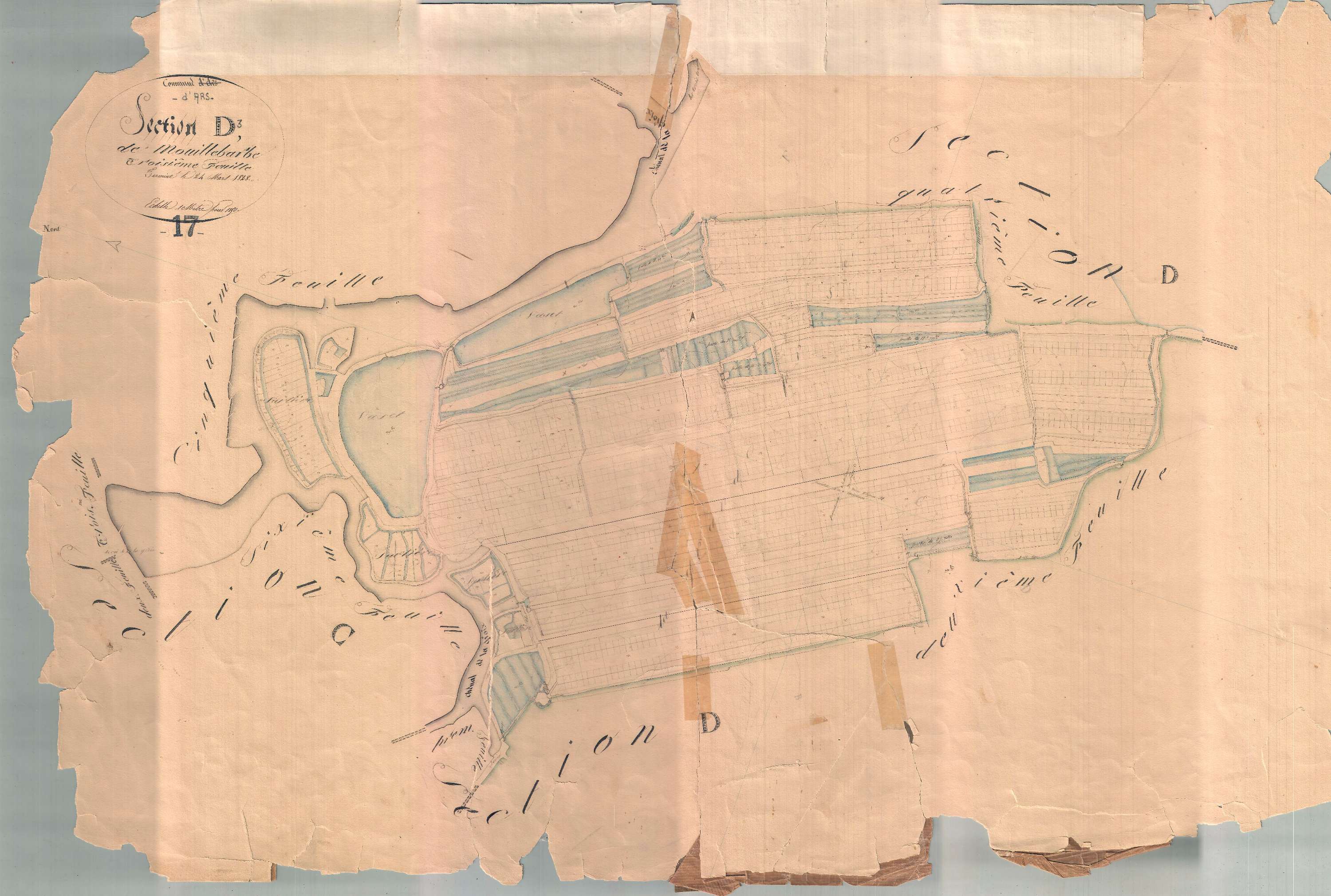 Ars-en-Ré - Section D3 dite de Mouille Barbe. [document en très mauvais état]