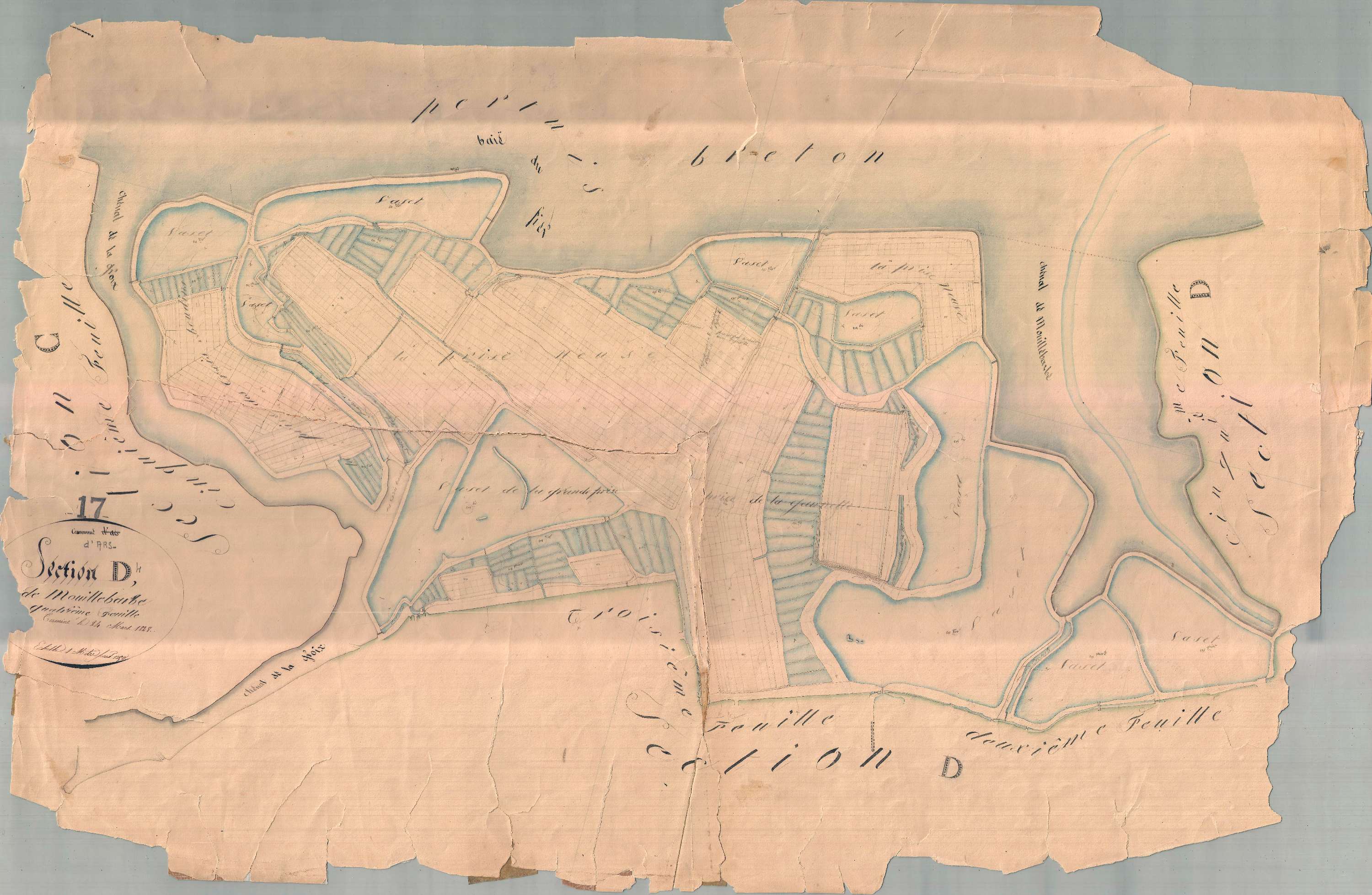 Ars-en-Ré - Section D4 dite de Mouille Barbe. [document en très mauvais état]