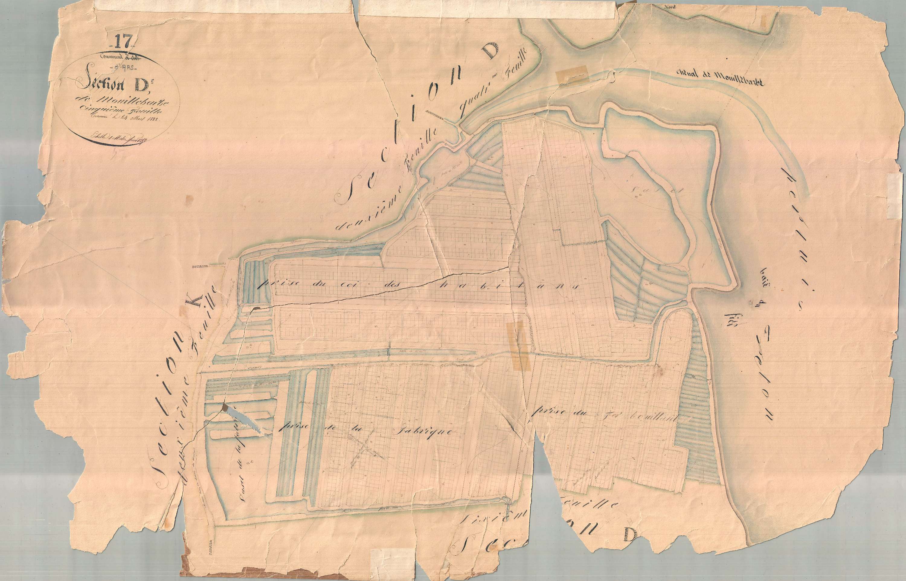 Ars-en-Ré - Section D5 dite de Mouille Barbe. [document en très mauvais état]