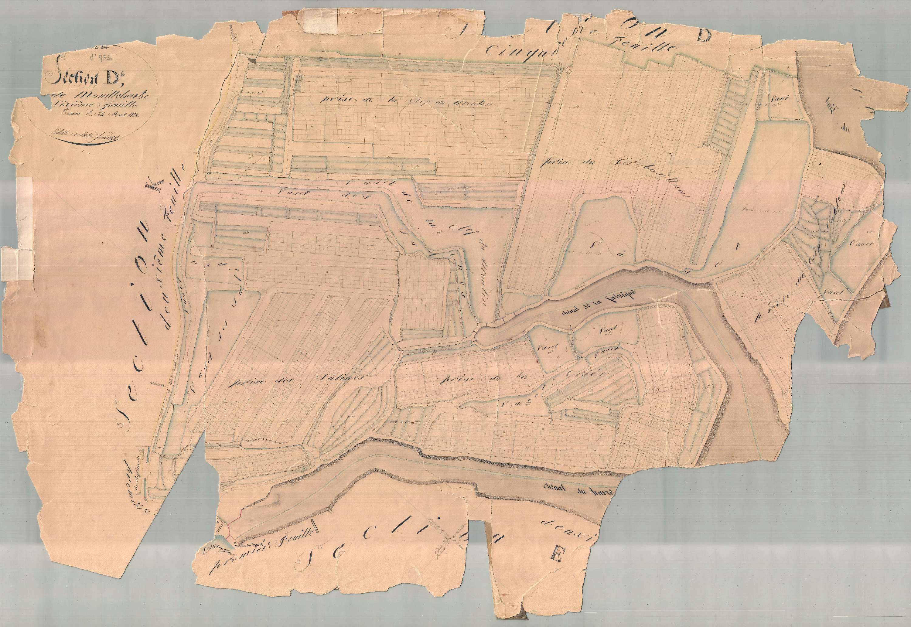 Ars-en-Ré - Section D6 dite de Mouille Barbe. [document en très mauvais état]