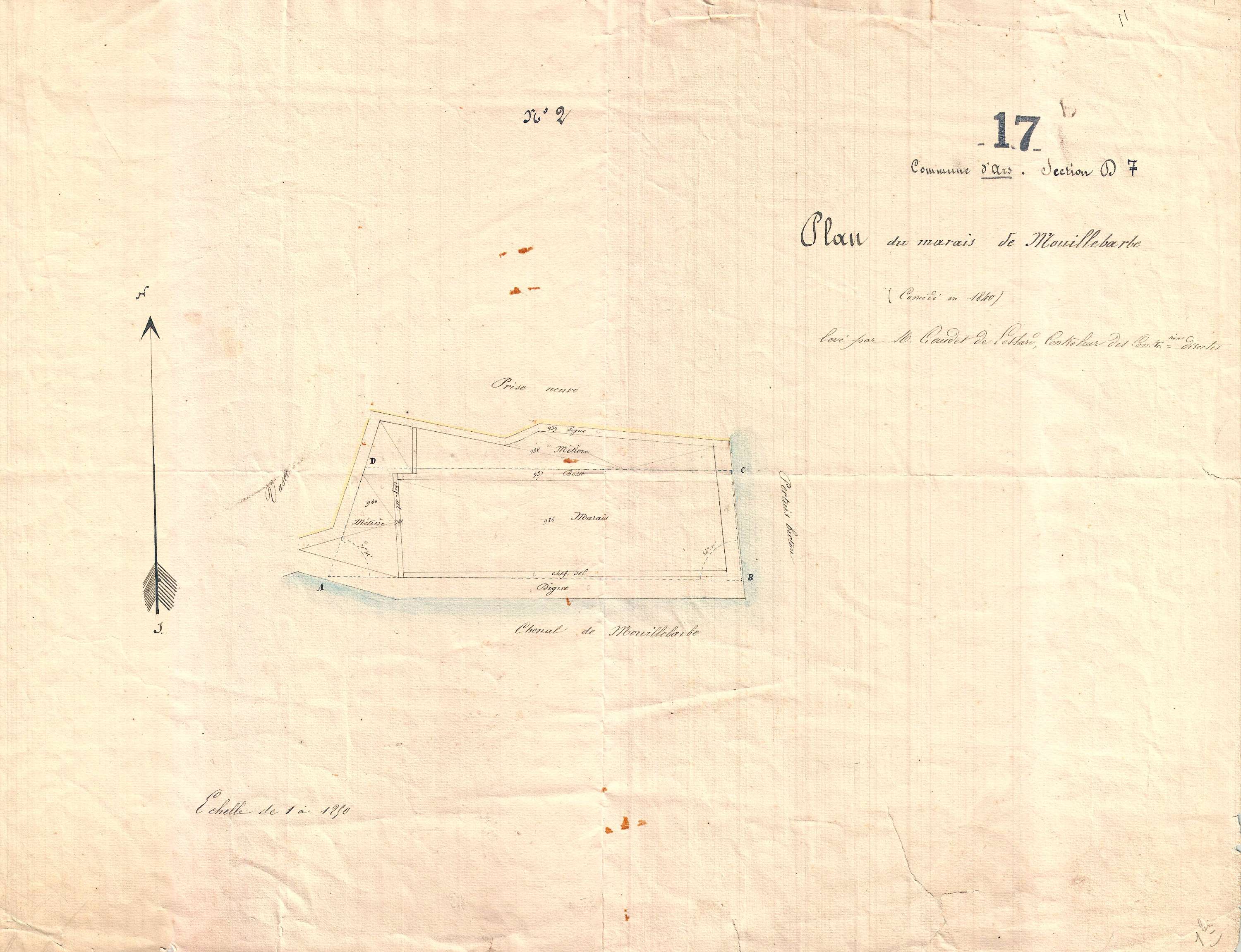 Ars-en-Ré - Section D7 dite de Mouille Barbe. [document en très mauvais état]