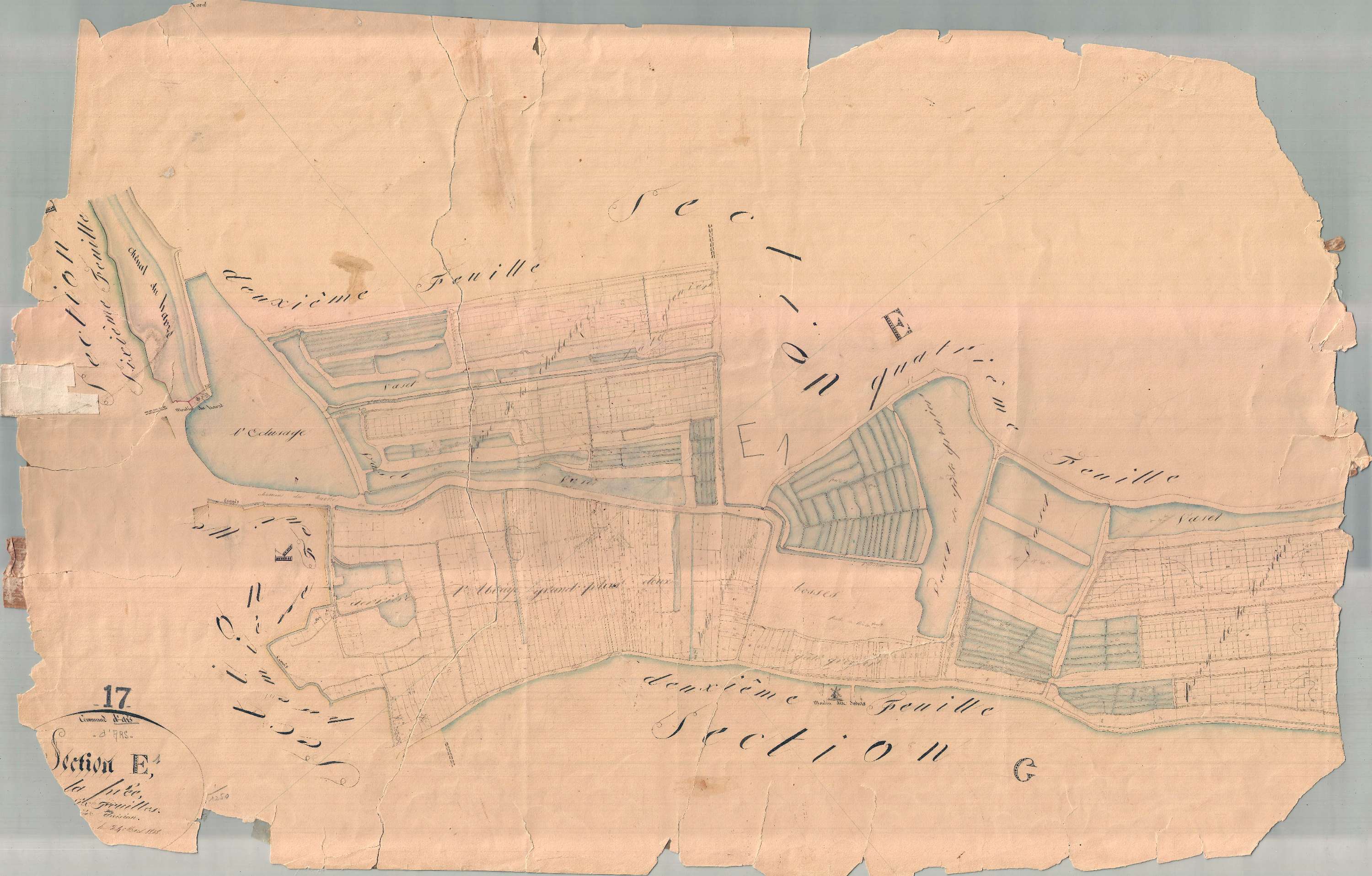 Ars-en-Ré - Section E1 dite de la Prée. [document en très mauvais état]