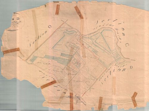 Ars-en-Ré - Section D1 dite de Mouille Barbe. [document en très mauvais état]