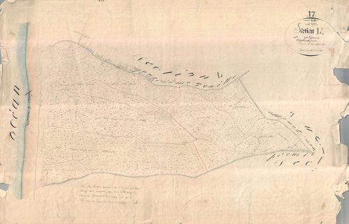 Ars-en-Ré - Section L3 dite du Grignon. [document en très mauvais état]