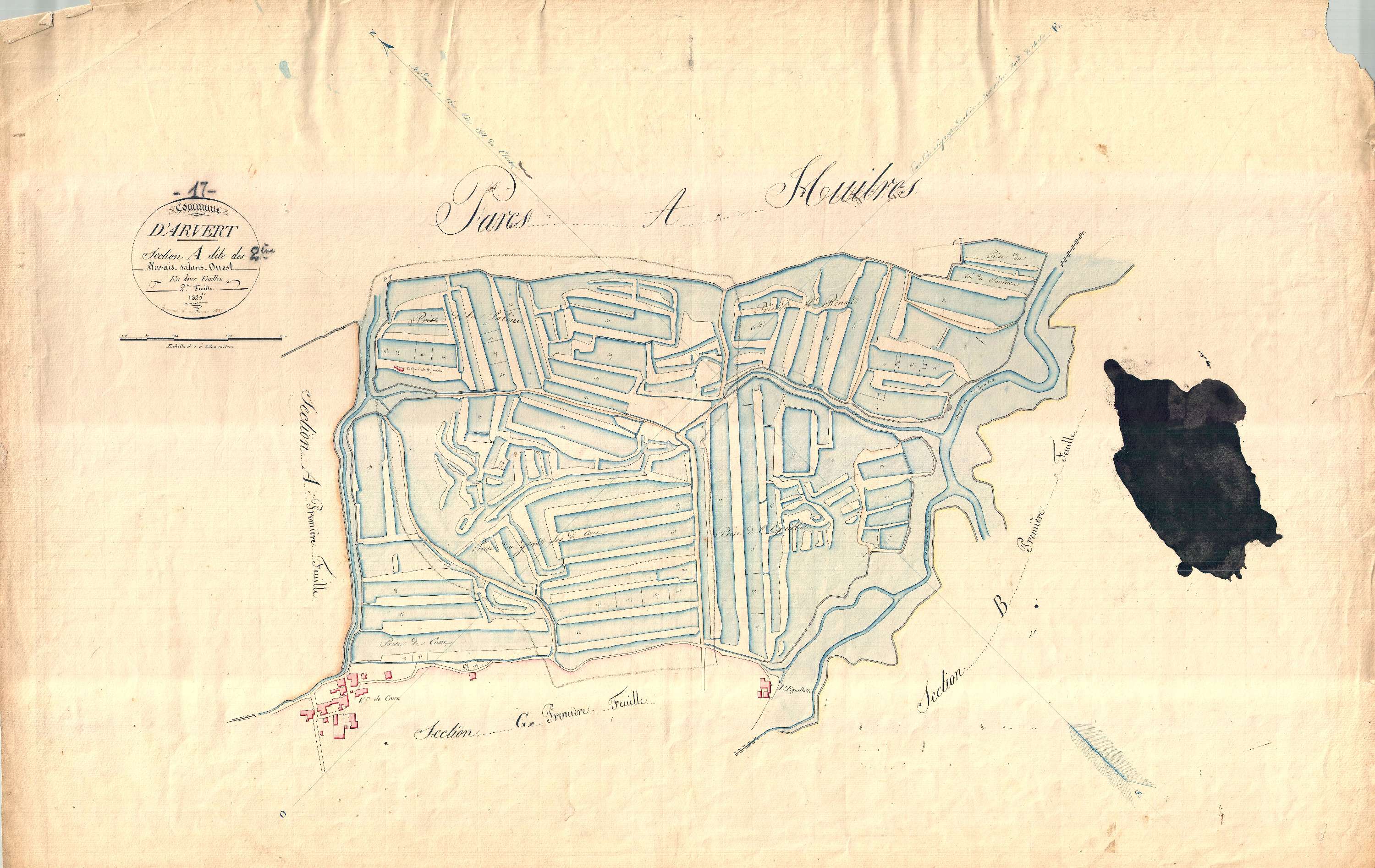 Arvert - Section A2 dite des Marais salans ouest.