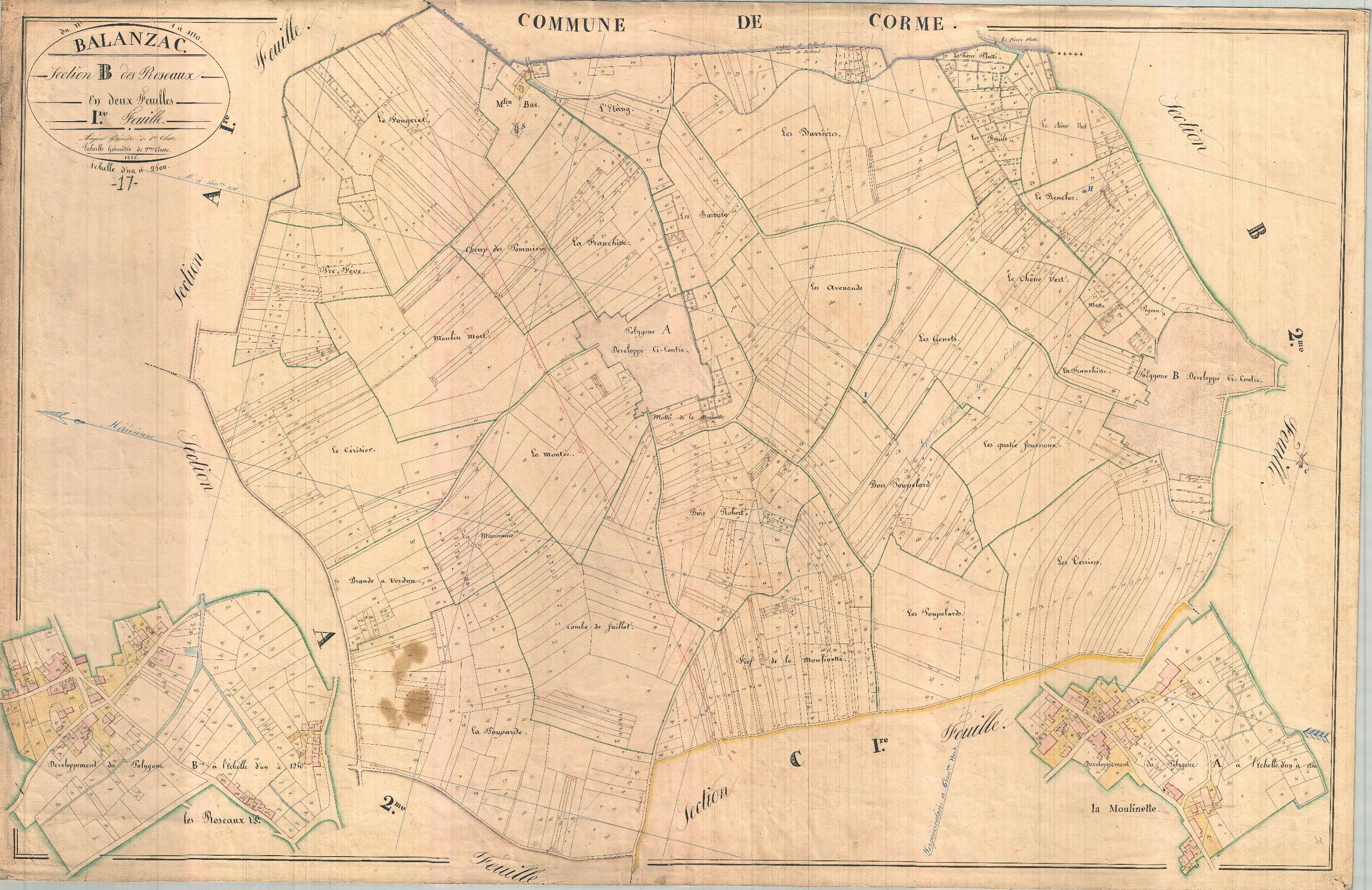 Balanzac - Section B1 dite des Roseaux.