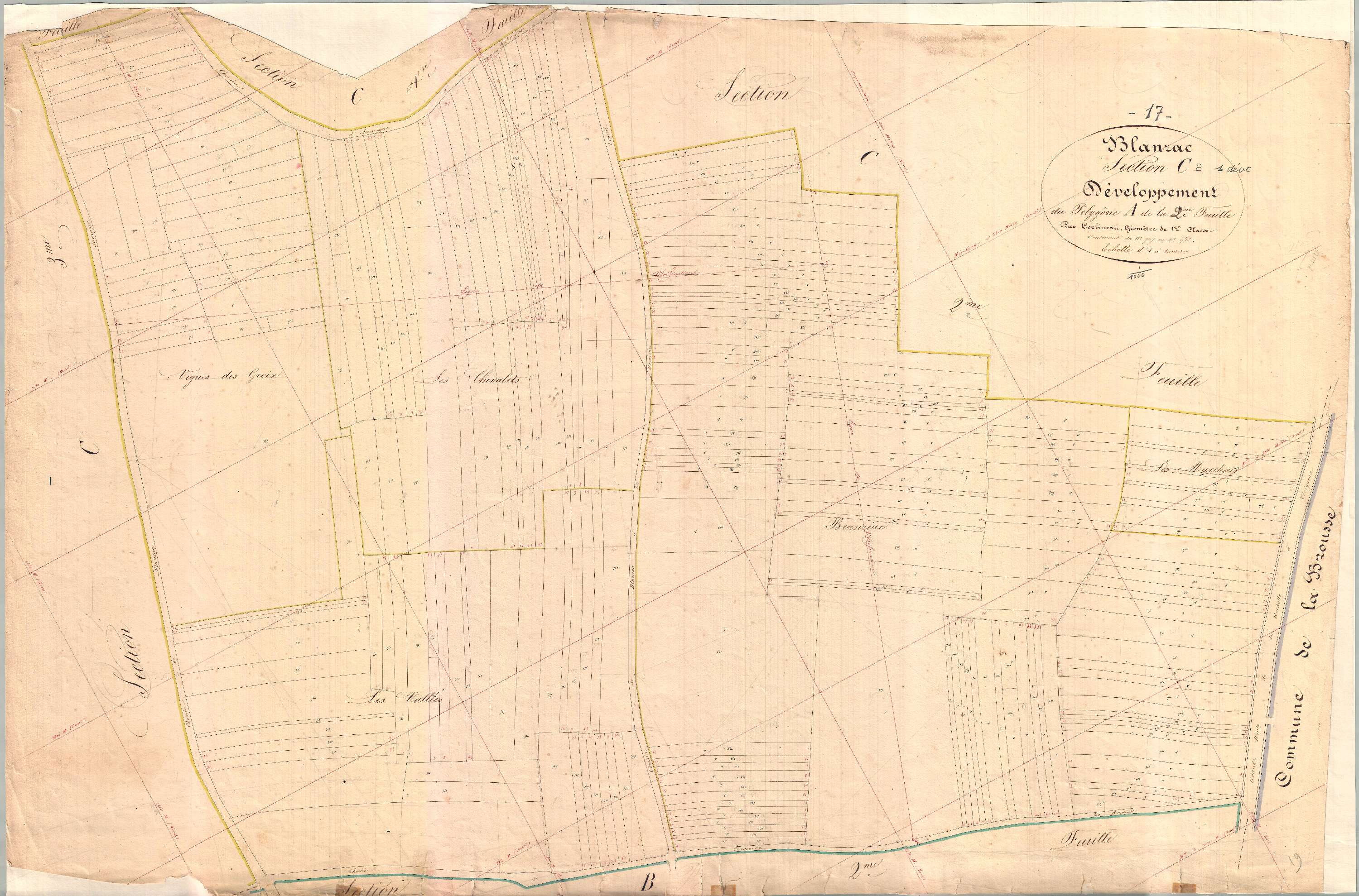 Blanzac-lès-Matha - Section C2 développement dite du Treuil.
