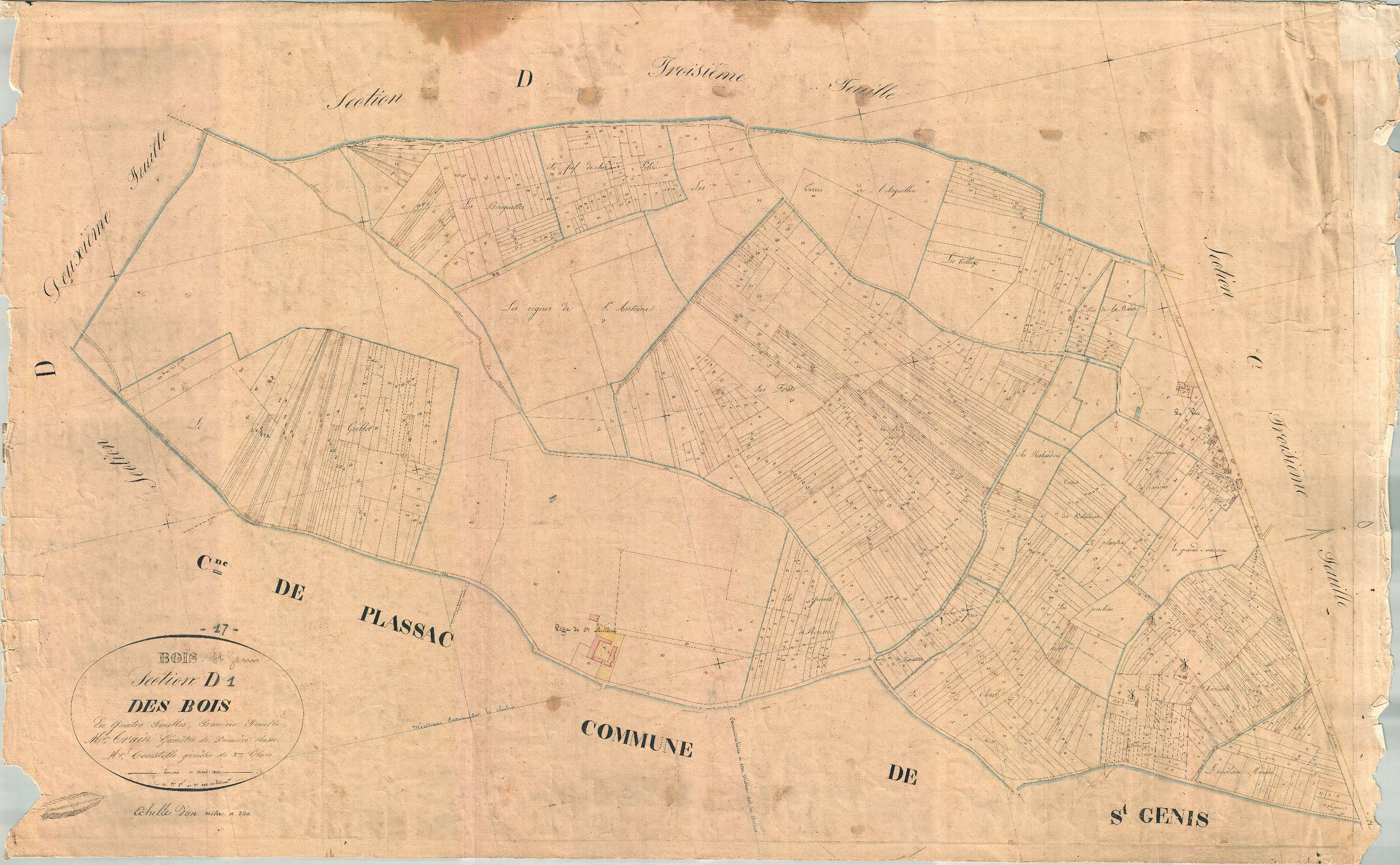 Bois - Section D1 dite des Bois.