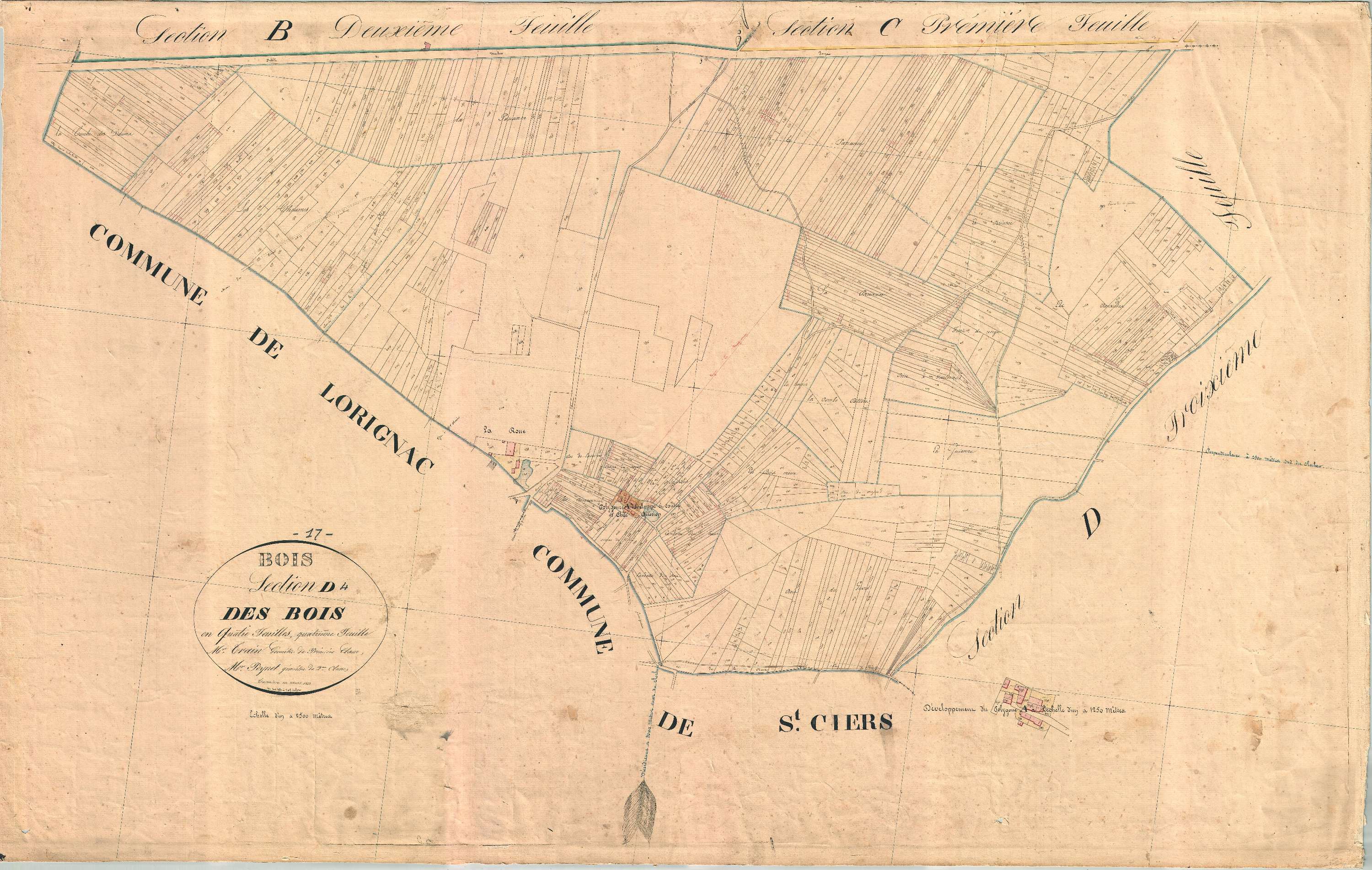 Bois - Section D4 dite des Bois.