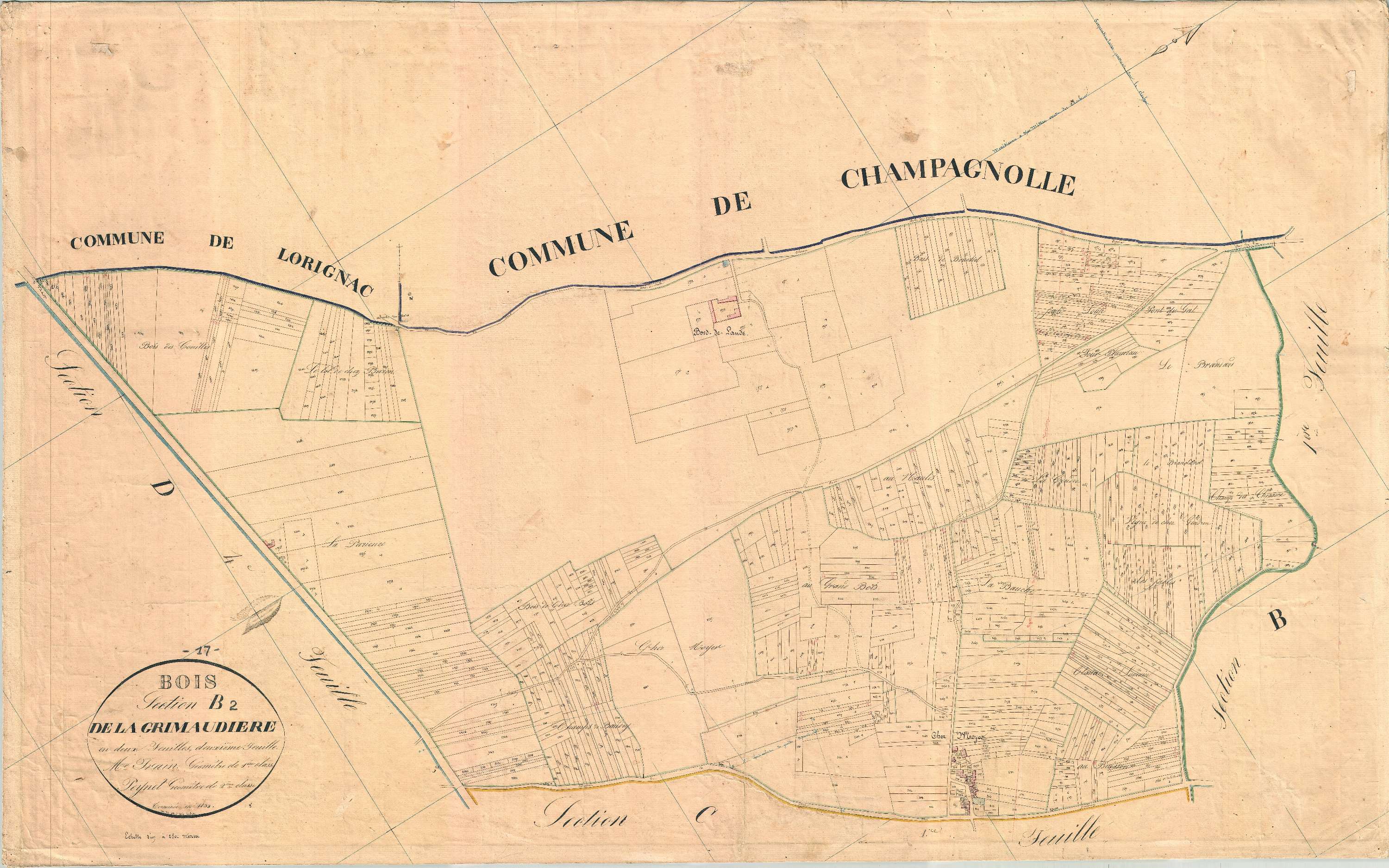 Bois - Section B1 dite de la Grimaudière.