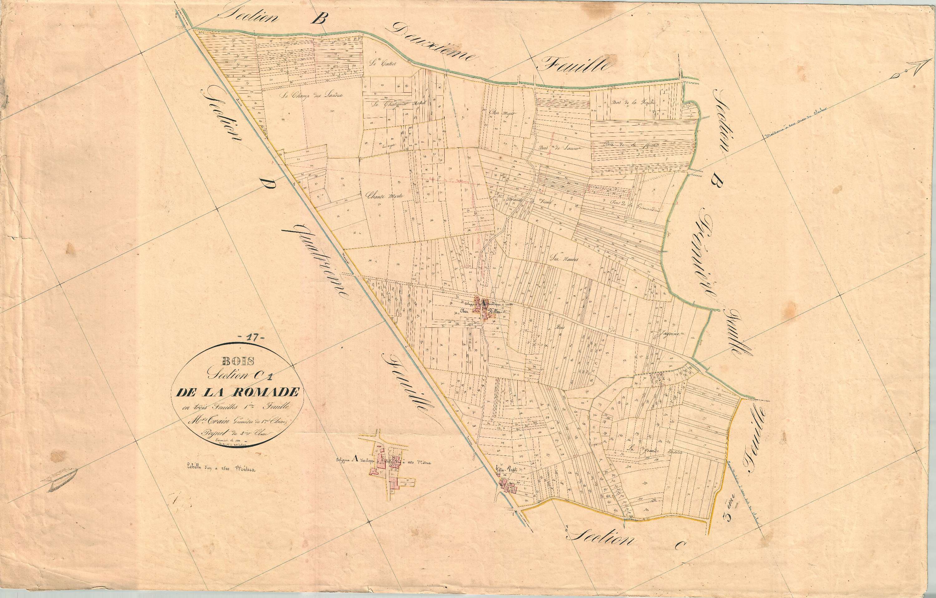 Bois - Section C1 dite de la Romade.