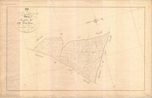 Le Bois-Plage-en-Ré - Section G2 dite des Gros-Joncs.
