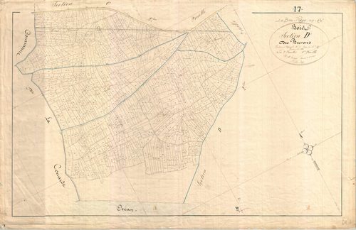 Le Bois-Plage-en-Ré - Section D1 dite des Burons.