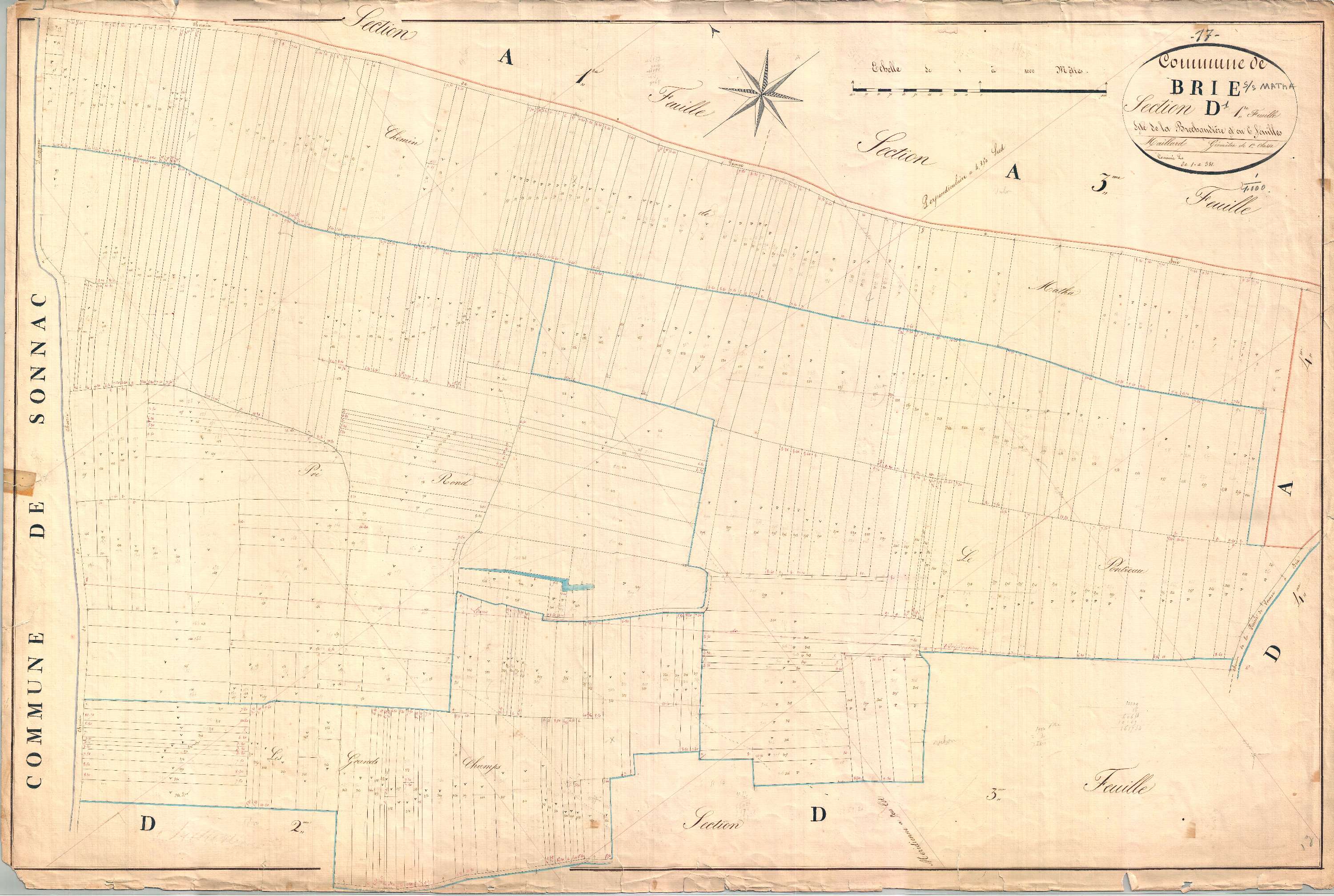 Brie-sous-Matha - Section D1 dite des Brechaudières.