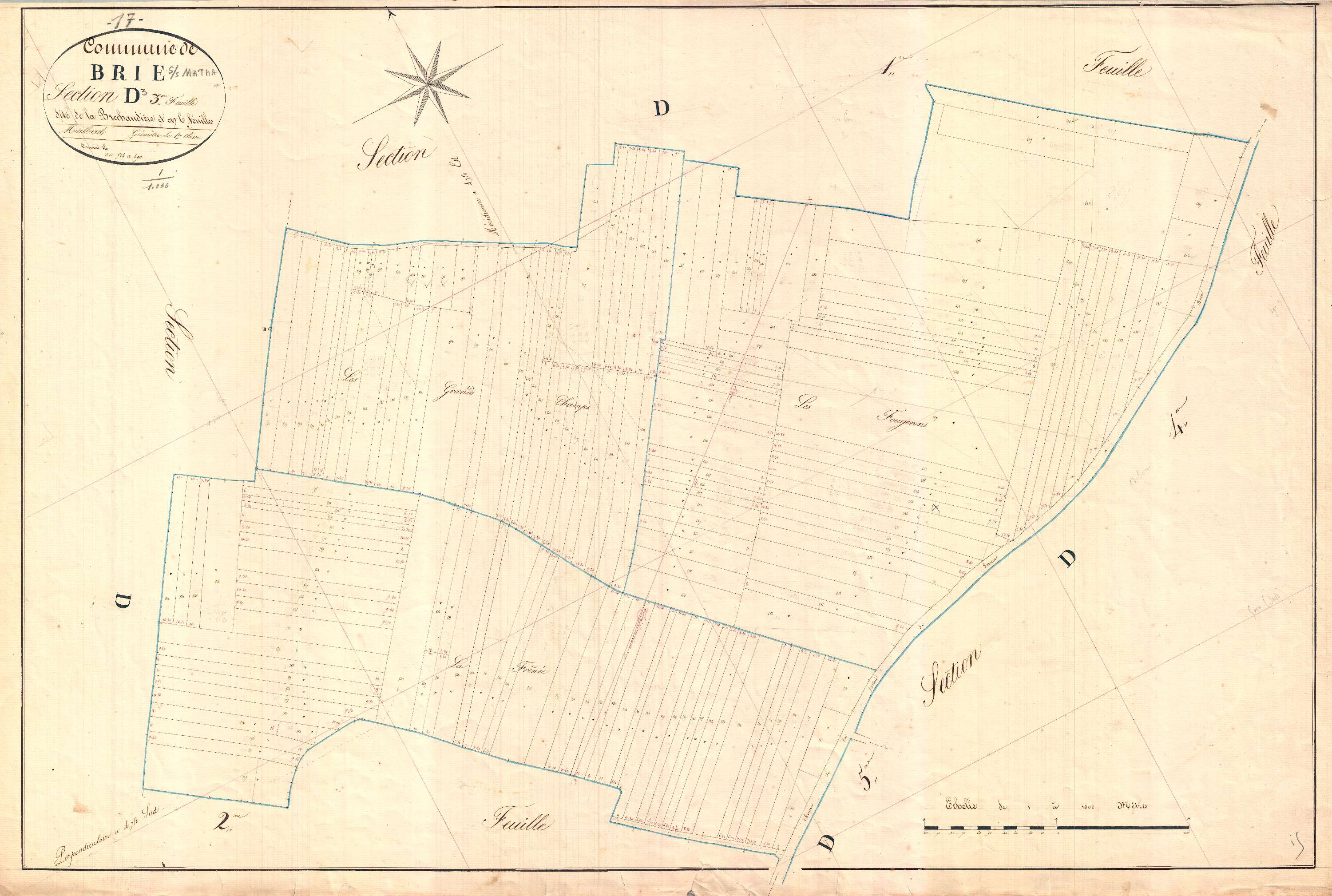 Brie-sous-Matha - Section D3 dite des Brechaudières.
