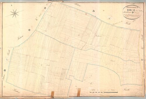 Brie-sous-Matha - Section D5 dite des Brechaudières.
