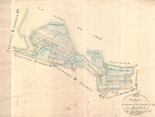 La Couarde-sur-Mer - Section D1 (sans nom).