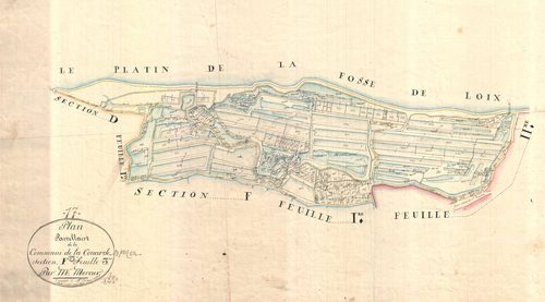 La Couarde-sur-Mer - Section F3 (sans nom). [document en mauvais état]