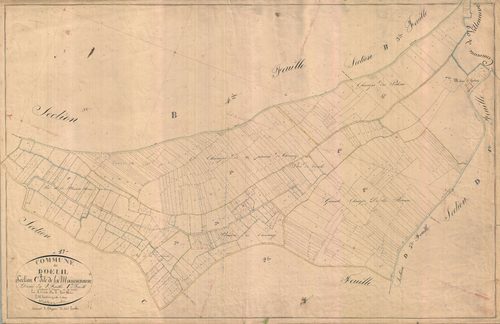 Dœuil-sur-le-Mignon - Section C1 dite de la Maisonneuve.